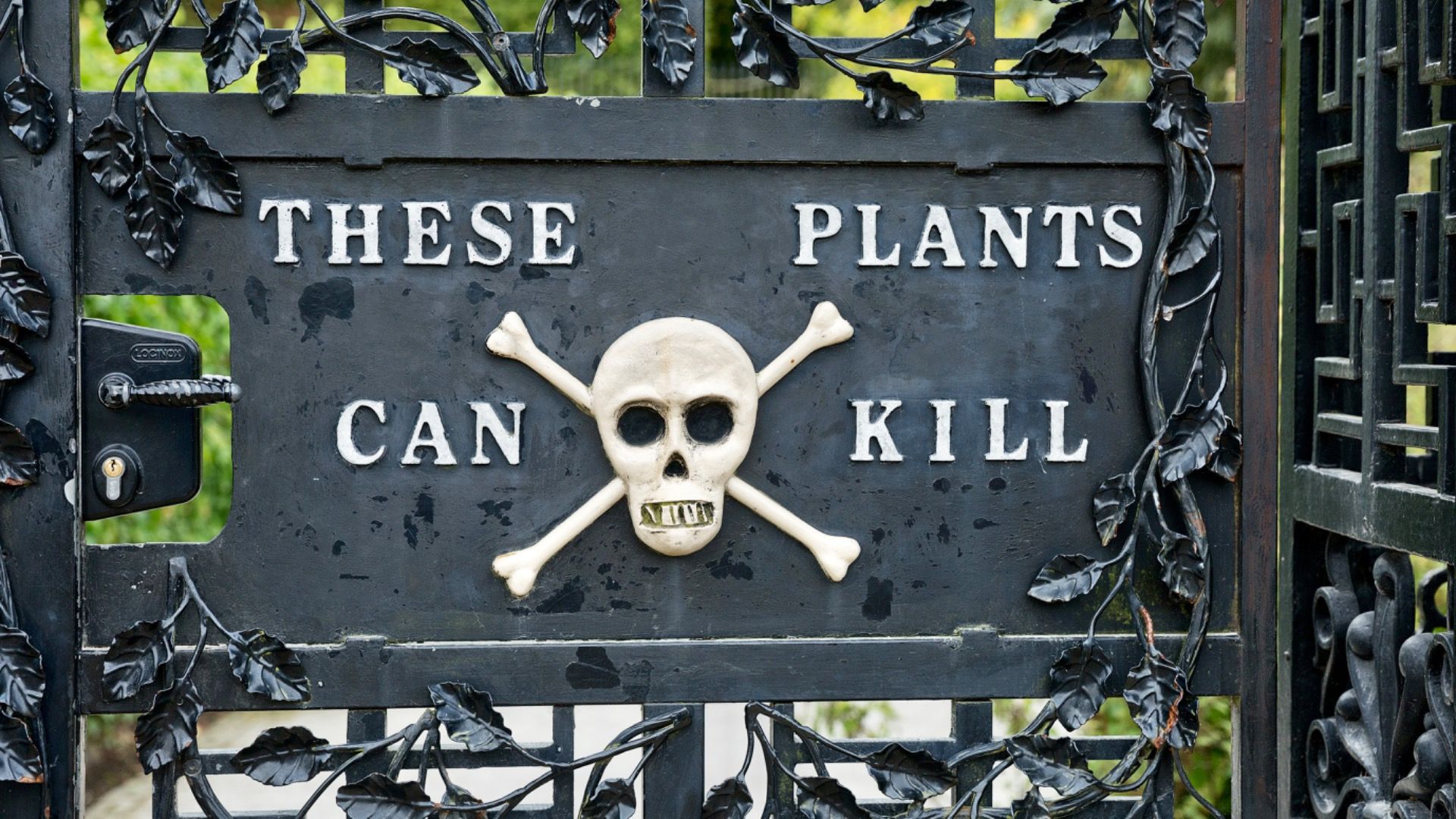 Der einzigartigste Garten der Welt könnte Sie auch leicht töten