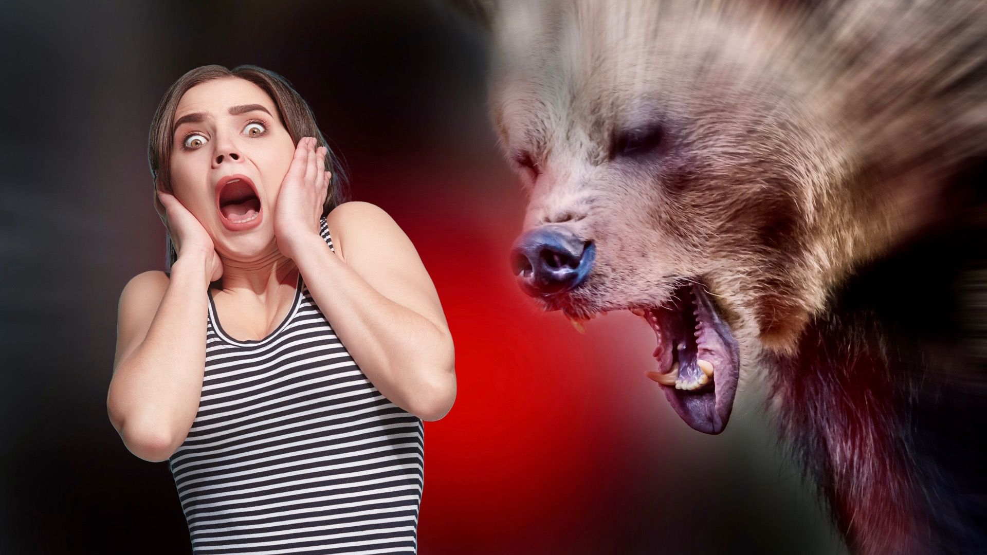 Alaska zu den Rocky Mountains: 10 Bär begegnen Geschichten, die als Warnung dienen