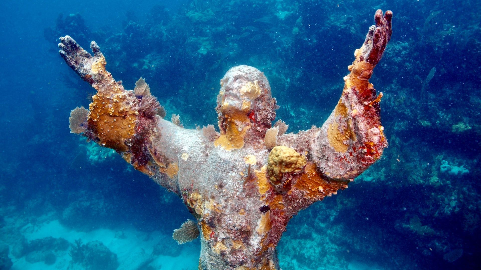 7 Hidden Scuba Edelsteine: So funktioniert Florida