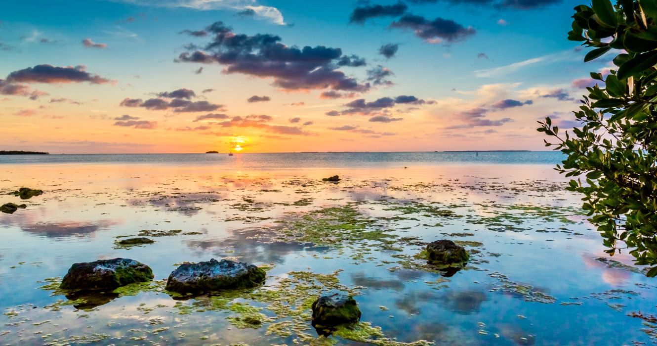 Diese Karte bietet den ultimativen Day Trip 