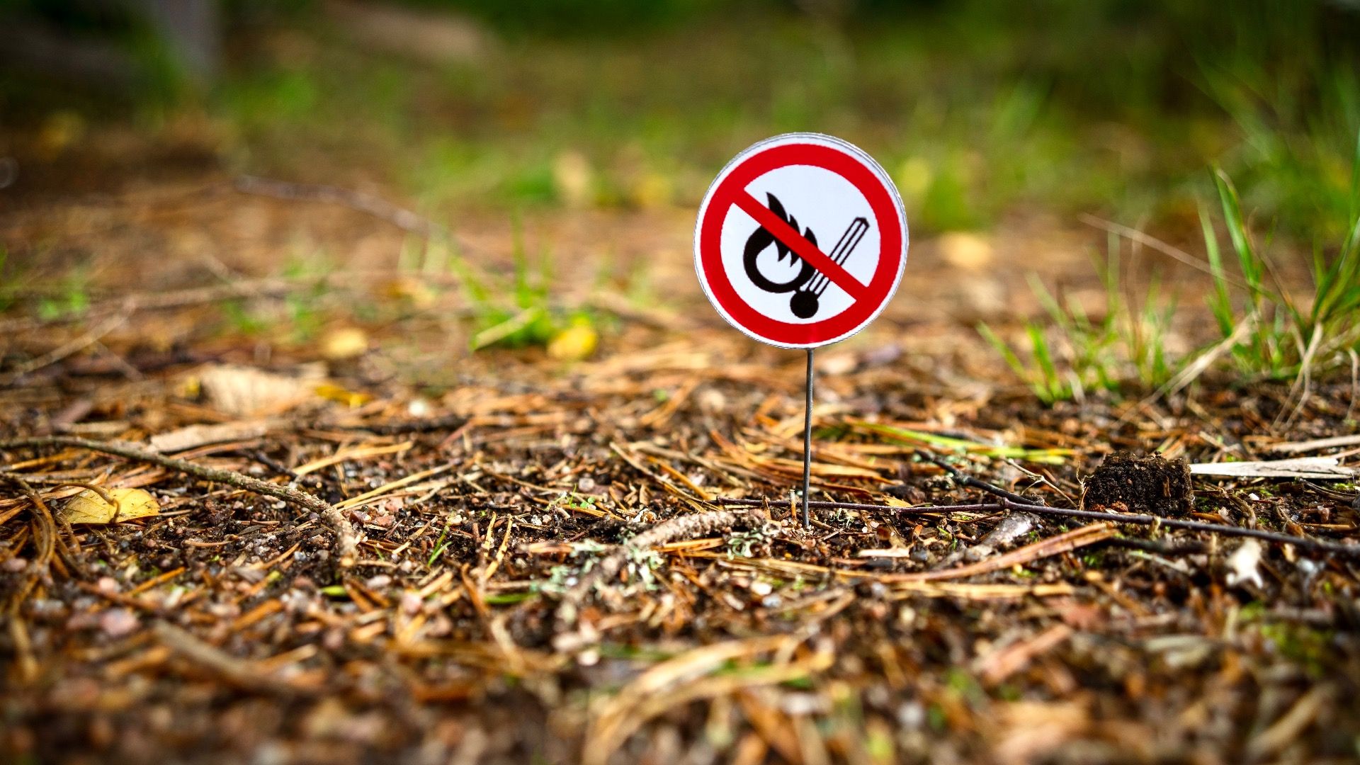 State Parks Ban Campfires: Was ist als Alternative zu tun