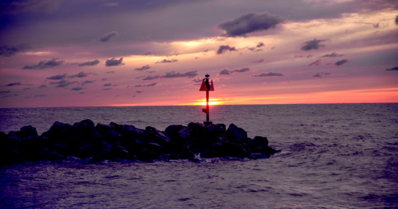 Gator auf freiem Fuß: Alligator im Eriesee entdeckt