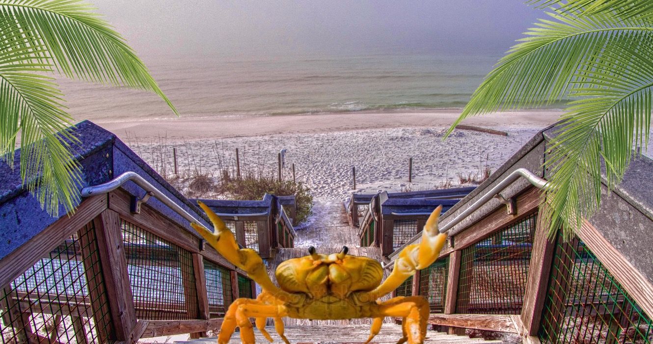 Dieser unterschätzte State Park Beach ist eine Alternative zu Destin