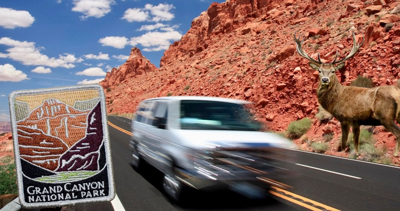 7 Roadtrips in Arizona, die alle am Grand Canyon enden
