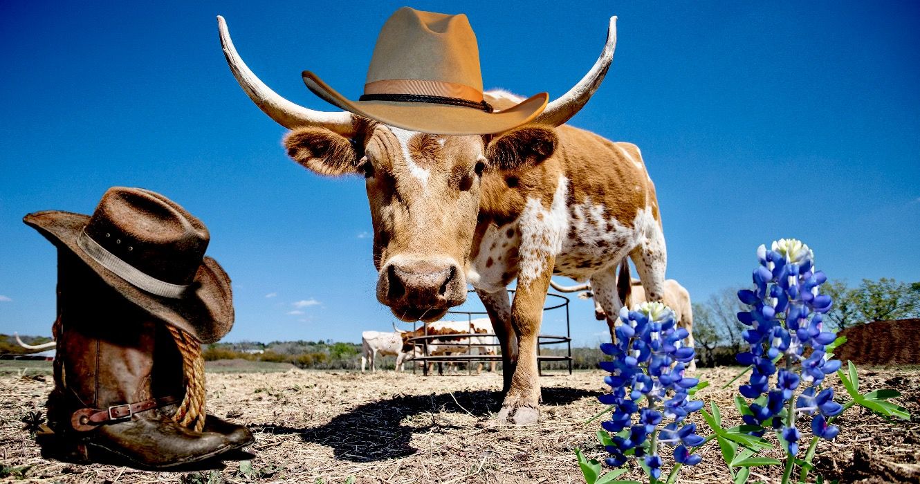 7 authentische Erfahrungen, die Sie zu Ihrer texanischen Bucket 