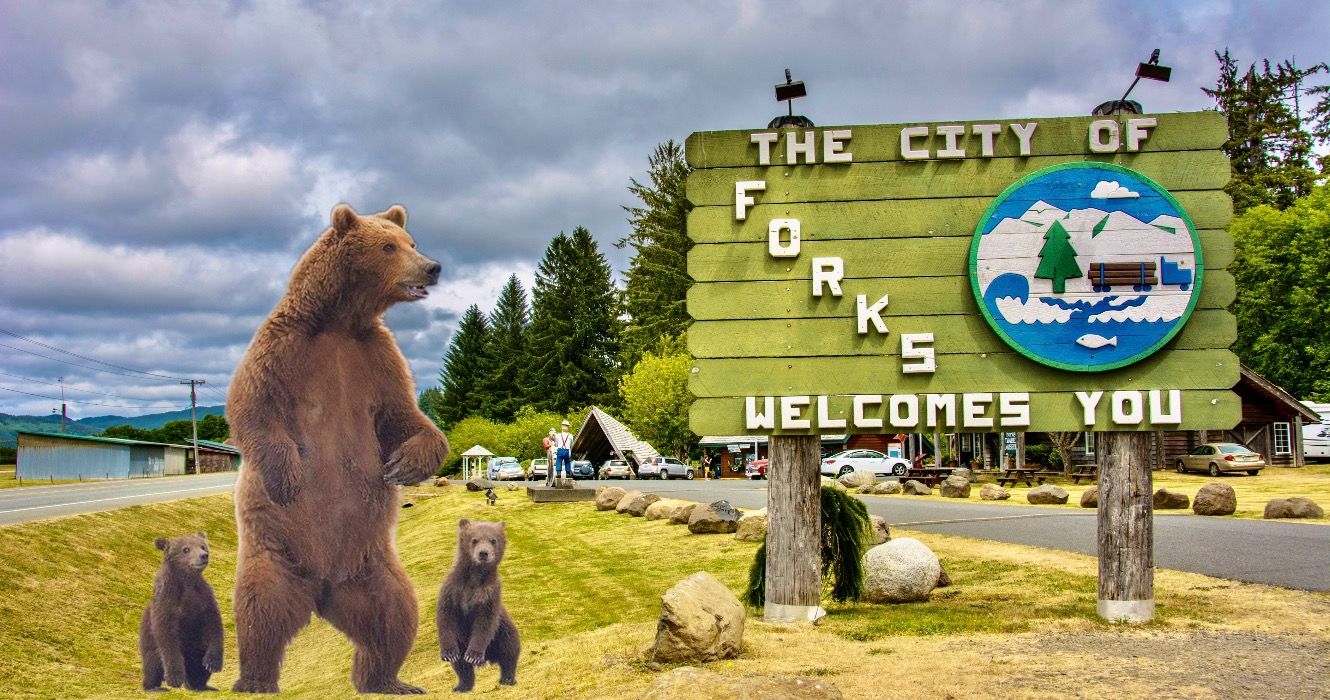 7 malerische Kleinstädte direkt neben Major Washington National Parks