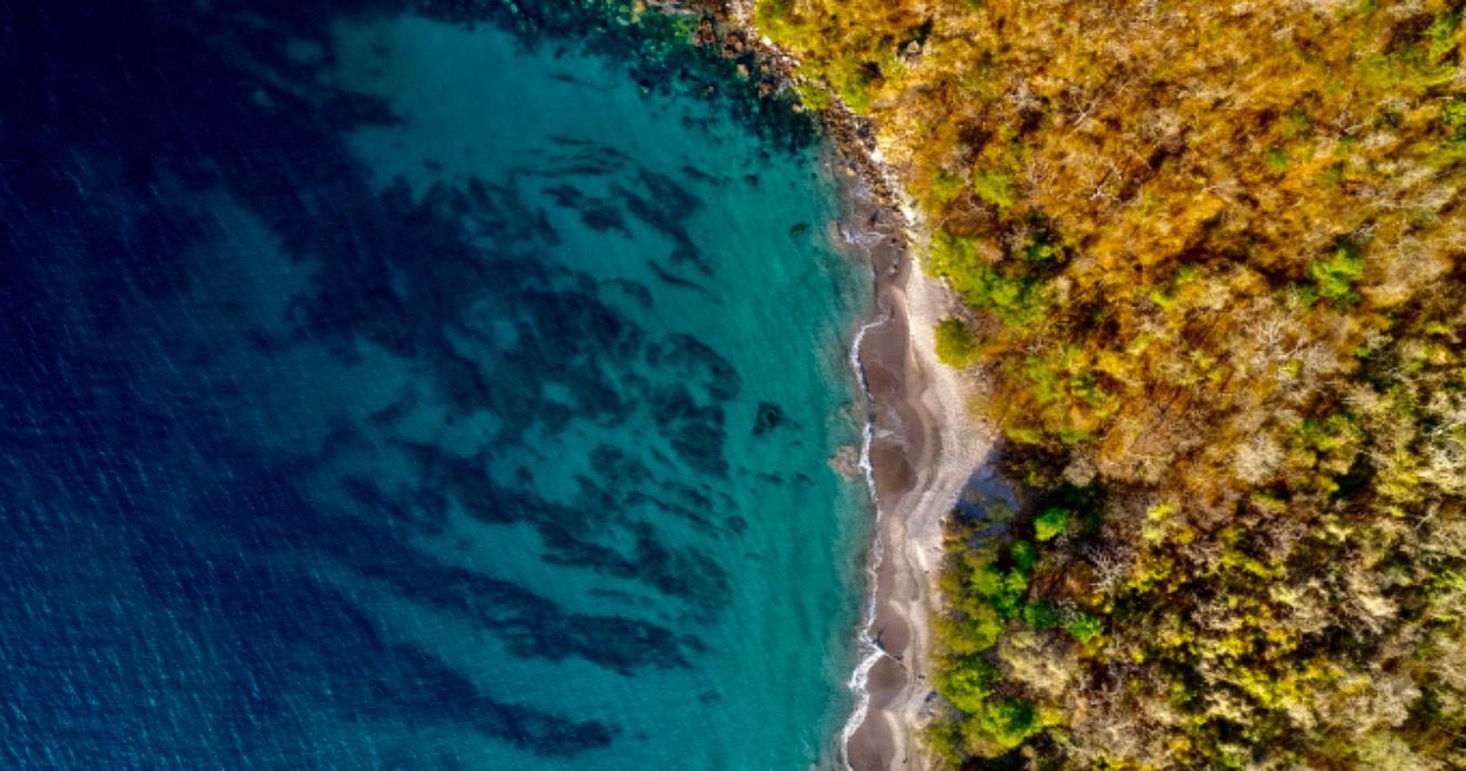 Dieser ungestörte Costa Rican Strand ist die perfekte Flucht aus den USA