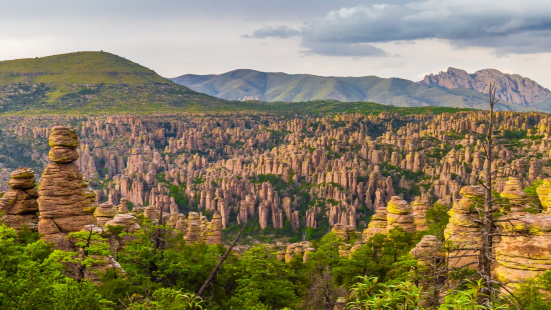 Dieser übersehene Arizona National Park sieht direkt aus Avatar aus
