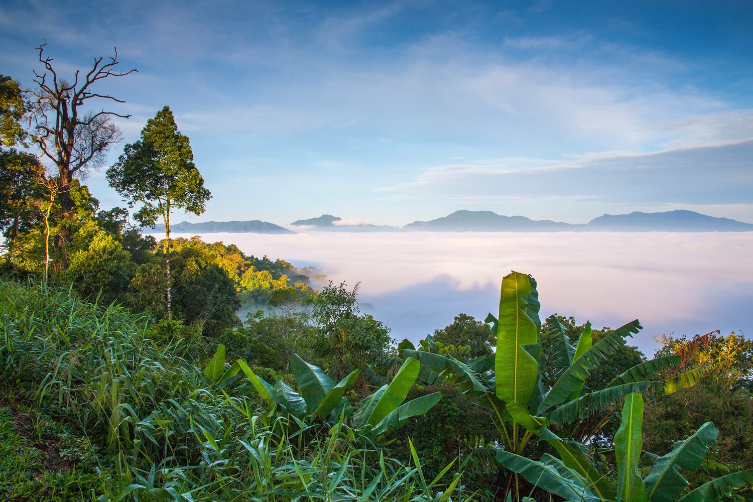 20 beste Nationalparks in Thailand