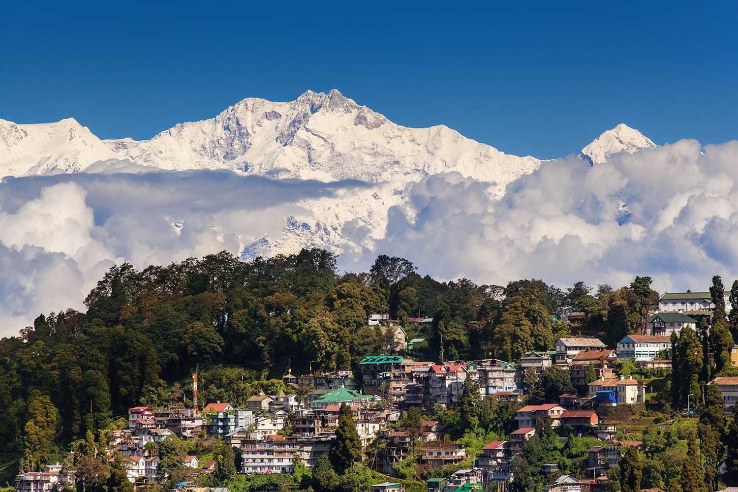 15 beste Dinge zu tun in Darjeeling und vieles mehr
