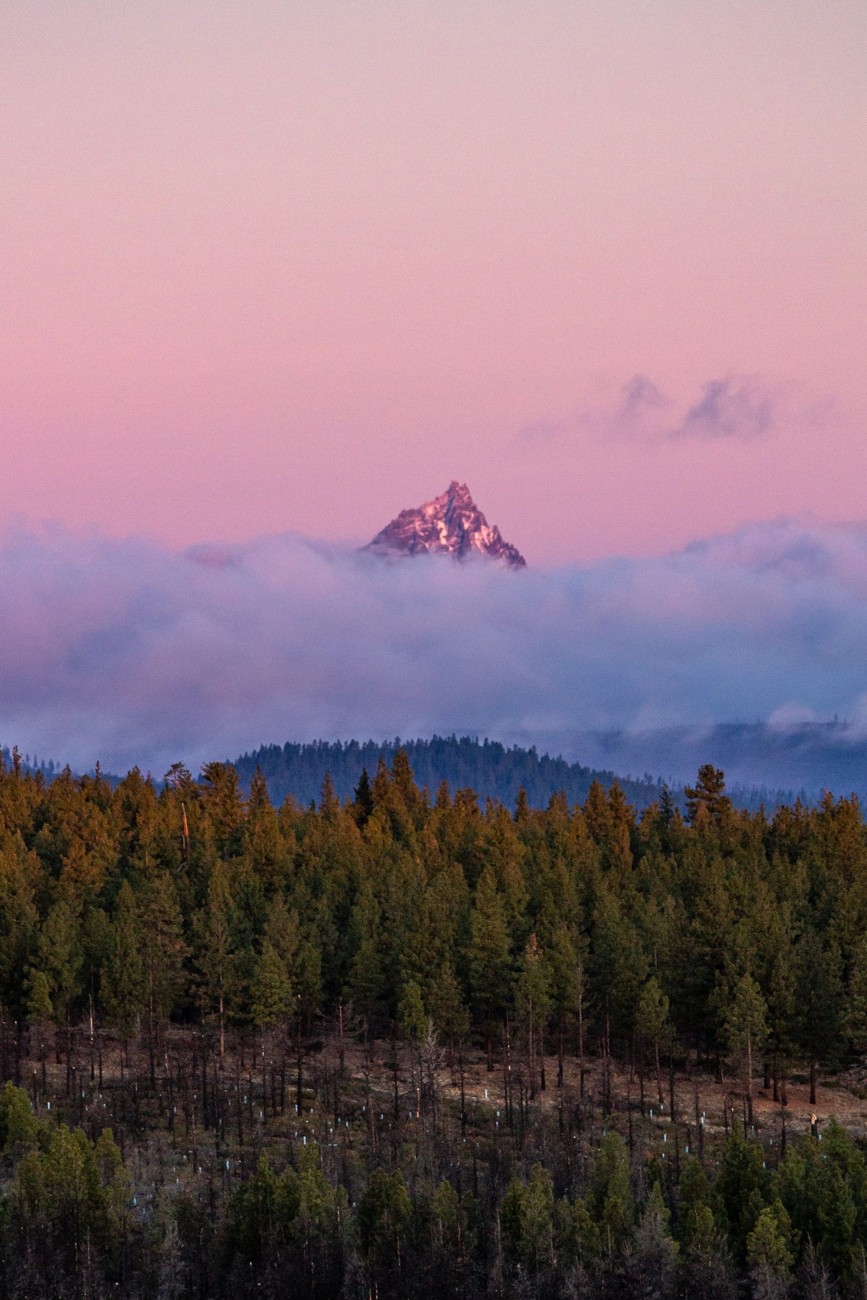 7 steilste Wanderungen mit dem größten Höhengewinn in Oregon