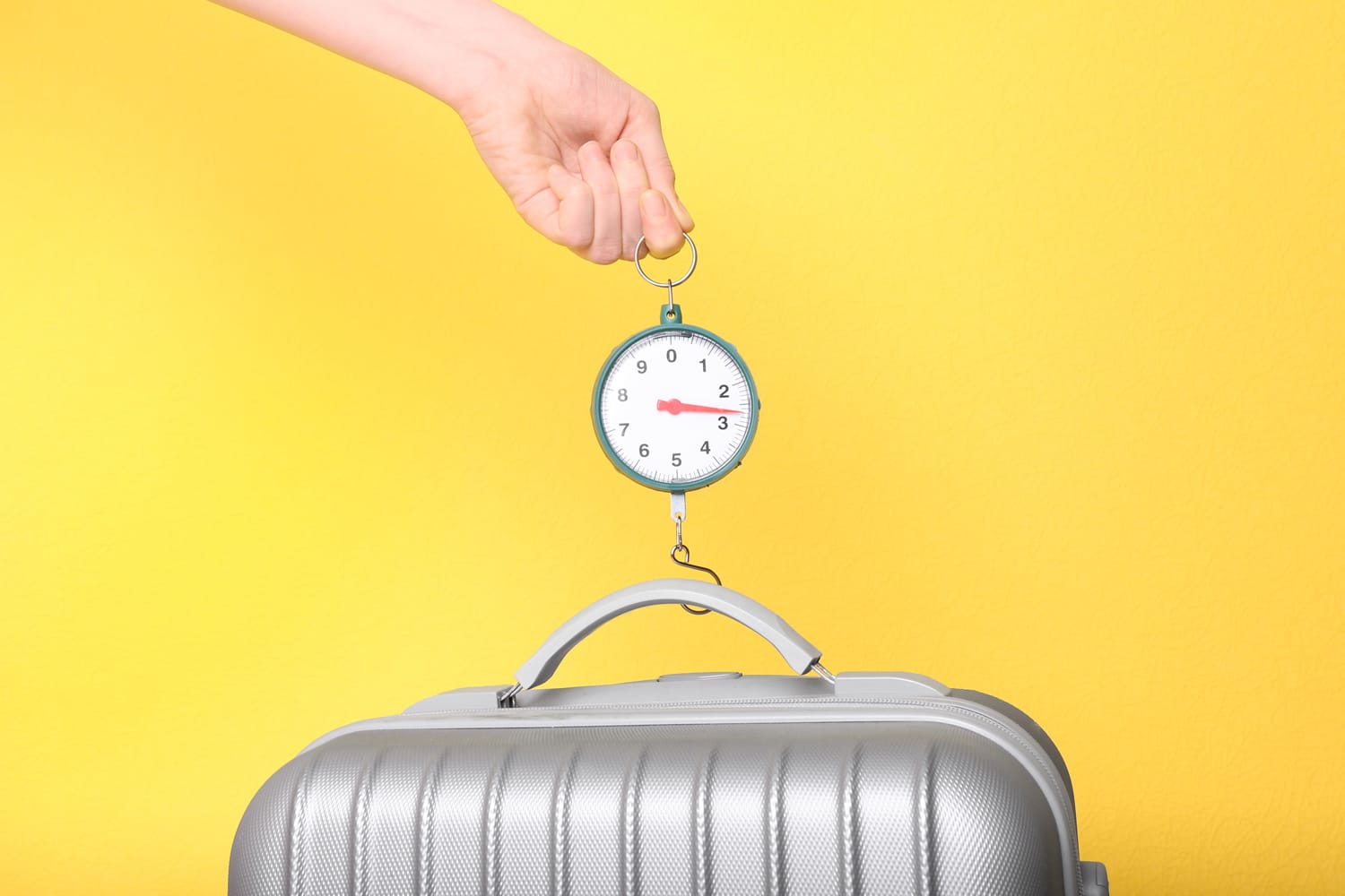 10 beste Gepäckskalen