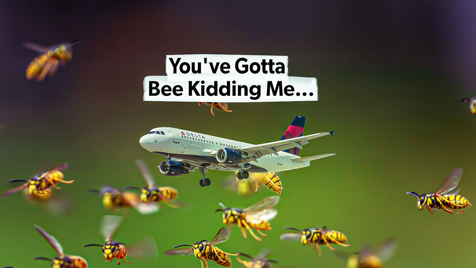 Als ein Bienenschwarm einen Flug der Delta 