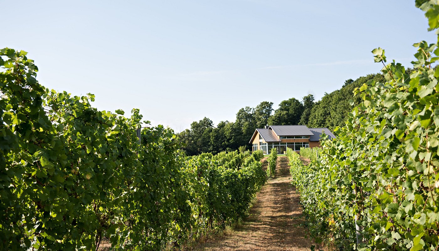 4 Regionen Northern RV für Weingut Tours &amp; Tastings