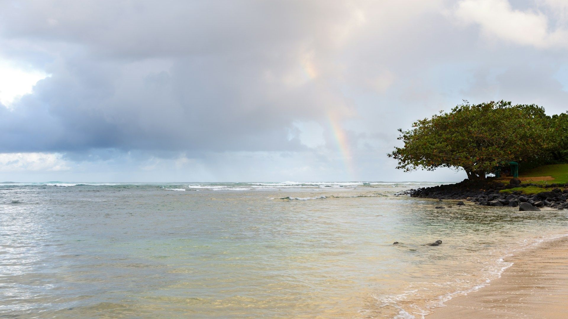 8 der feuchtesten Staaten Amerikas bekommen über 4,5 Fuß Regen