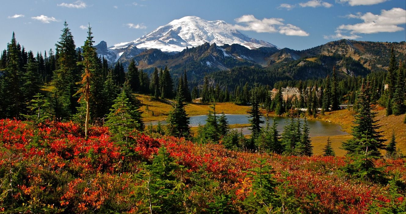 7 einfache Wanderungen im Mount Rainier National Park