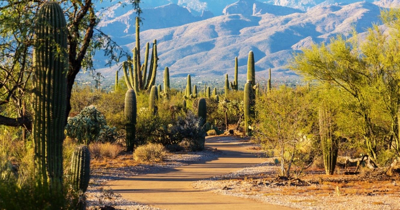 7 beste kleine Städte in der Nähe des Saguaro 