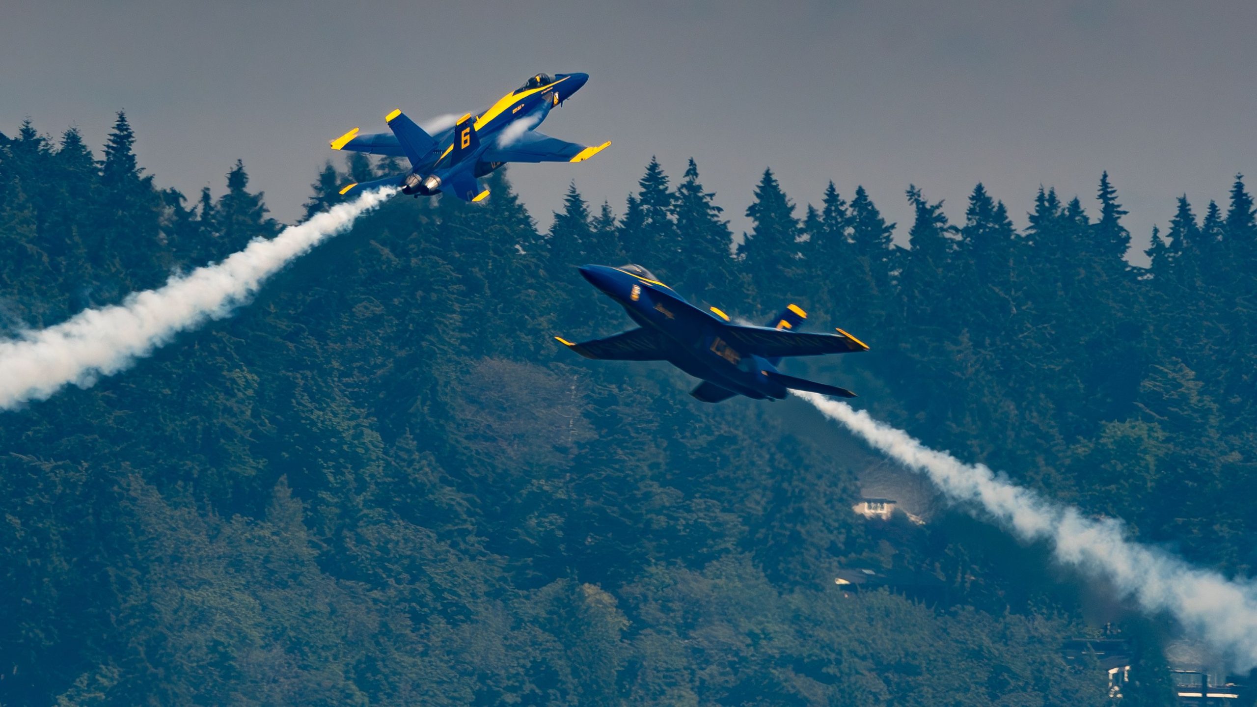 Wie die US Navy Blue Angels ihre Manöver koordinieren