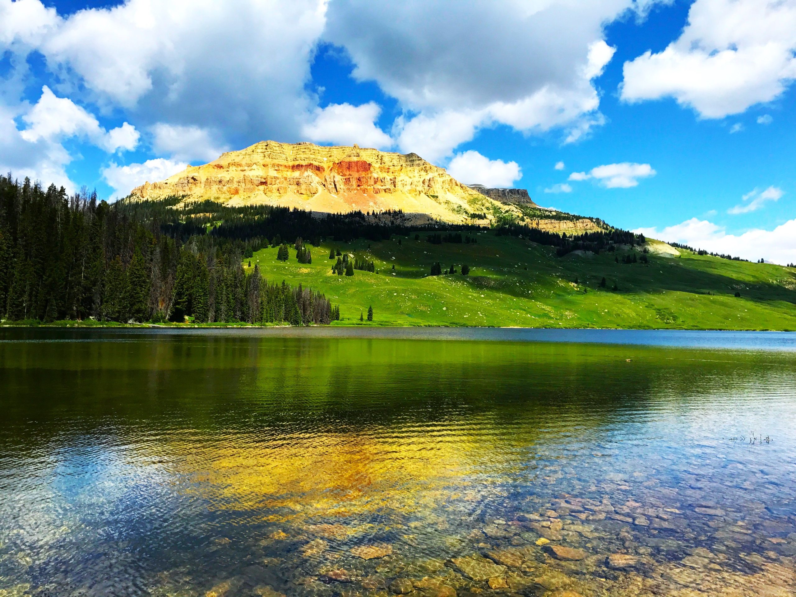 Skip Jackson: Diese süße Wyoming College 