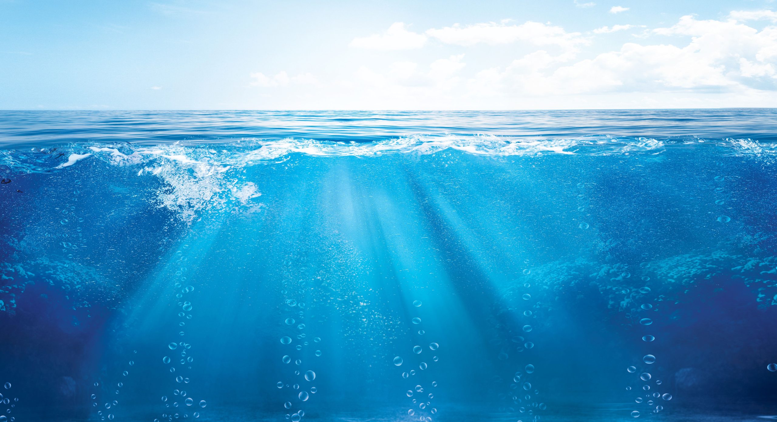 Wissenschaftler, die sich um einen der seltensten Wale der Welt zusammengetan haben: Hier ist das, was wir wissen