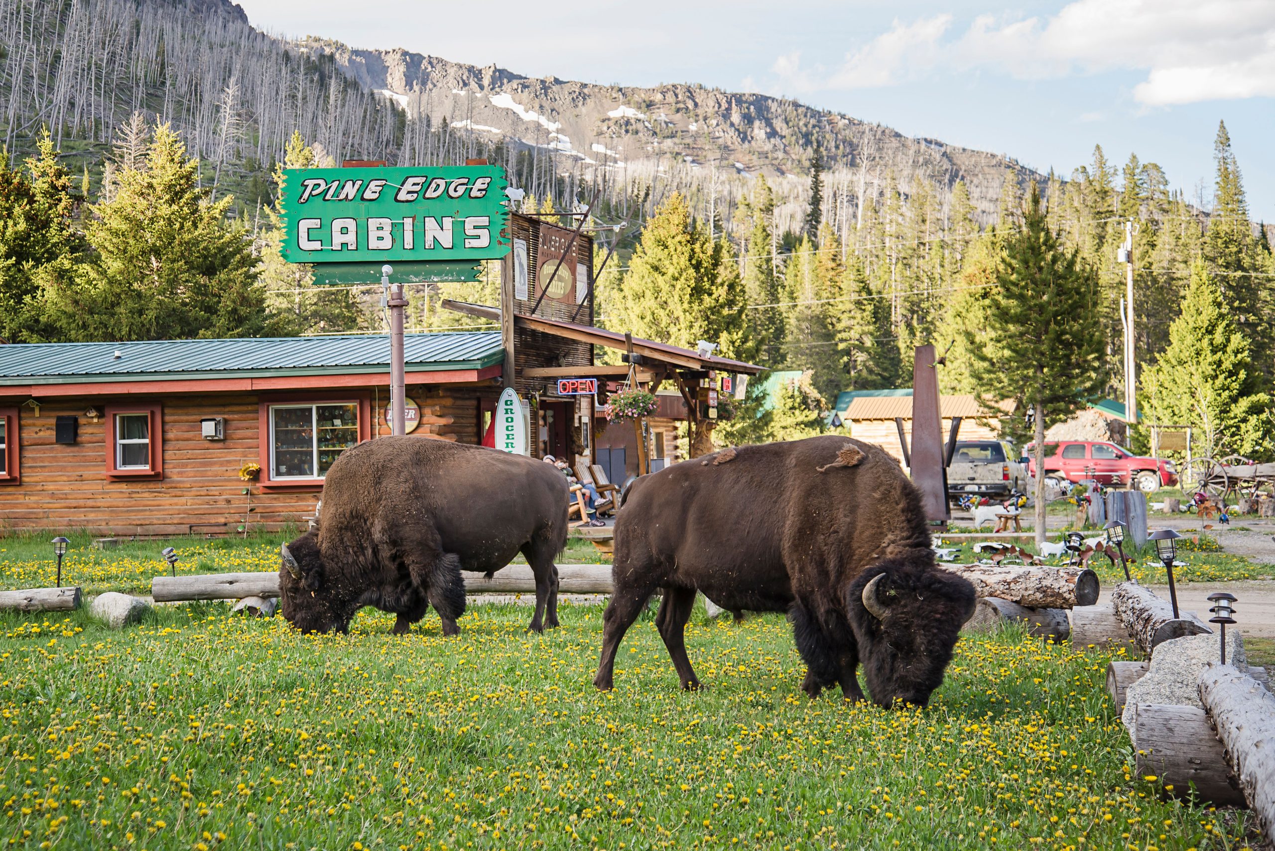 8 am meisten unterschätzte Kleinstädte in der Nähe des Yellowstone National Park