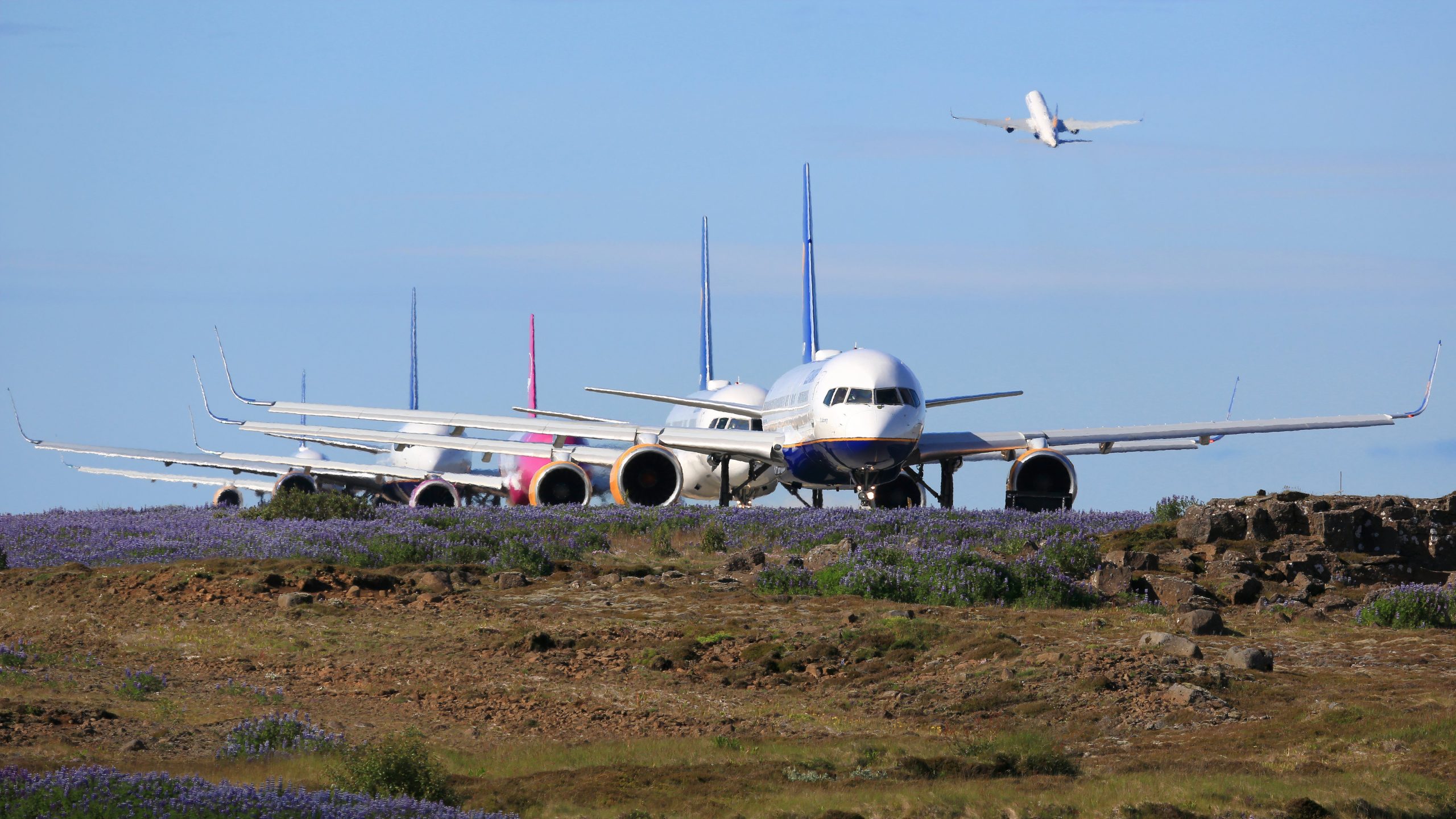 WOW: 6.855 Flüge wurden am Freitag nach globalem IT 