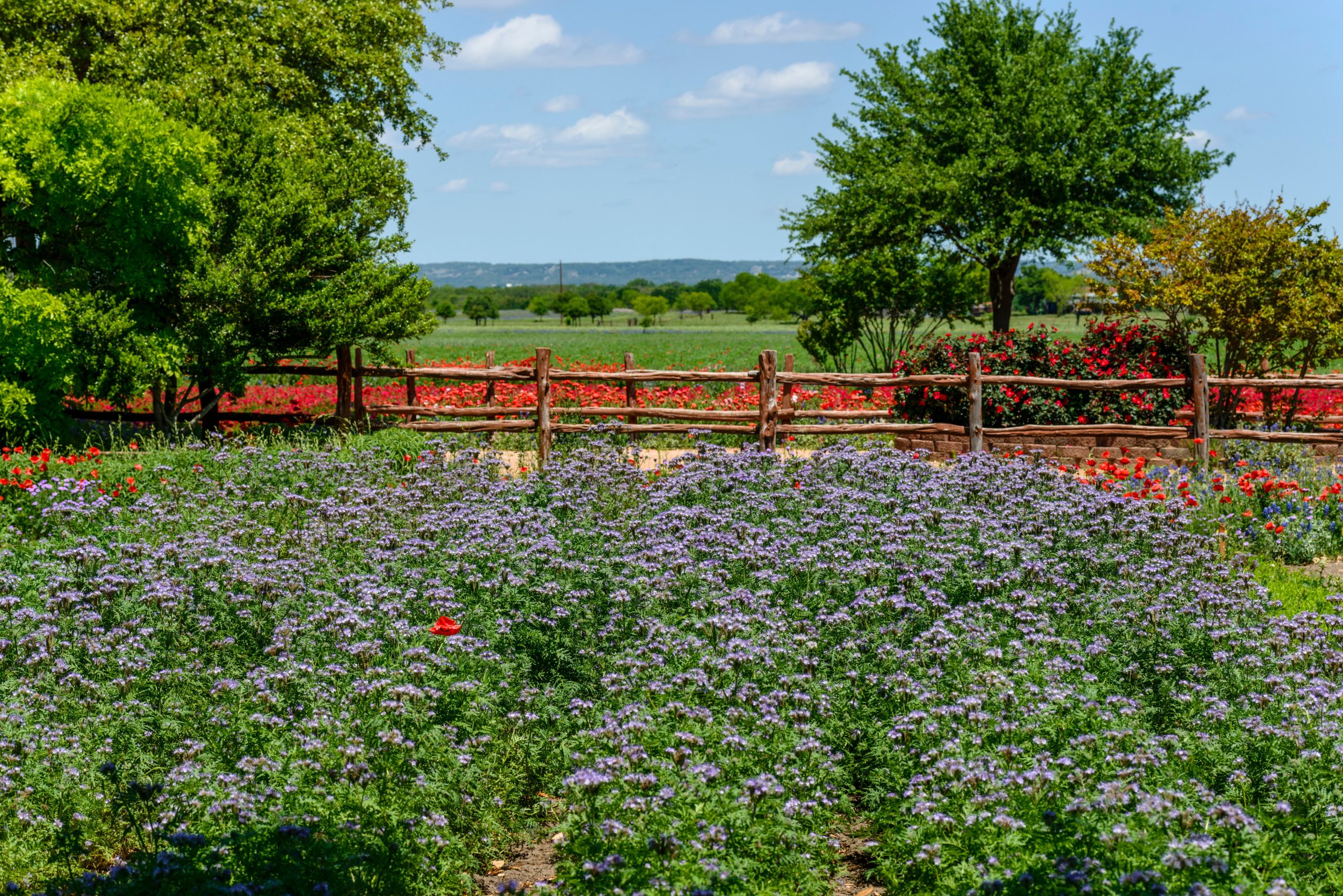 Diese kleine Stadt in Texas ist das „Deutschland von Texas“