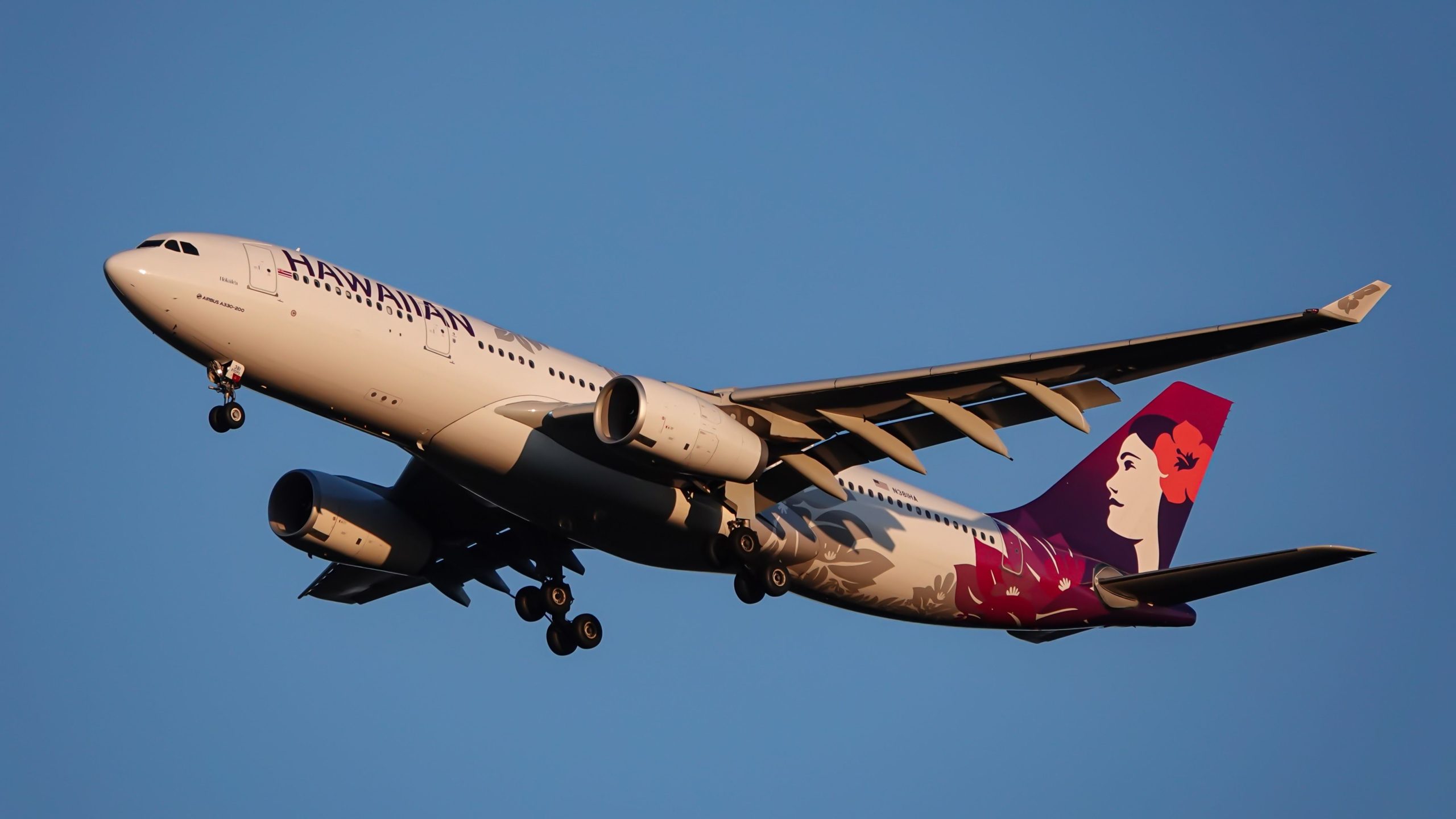 Hawaiian Airlines Passagiere, die in Las Vegas stecken, nachdem der Gepäcklader Airbus A330-200 getroffen hatte