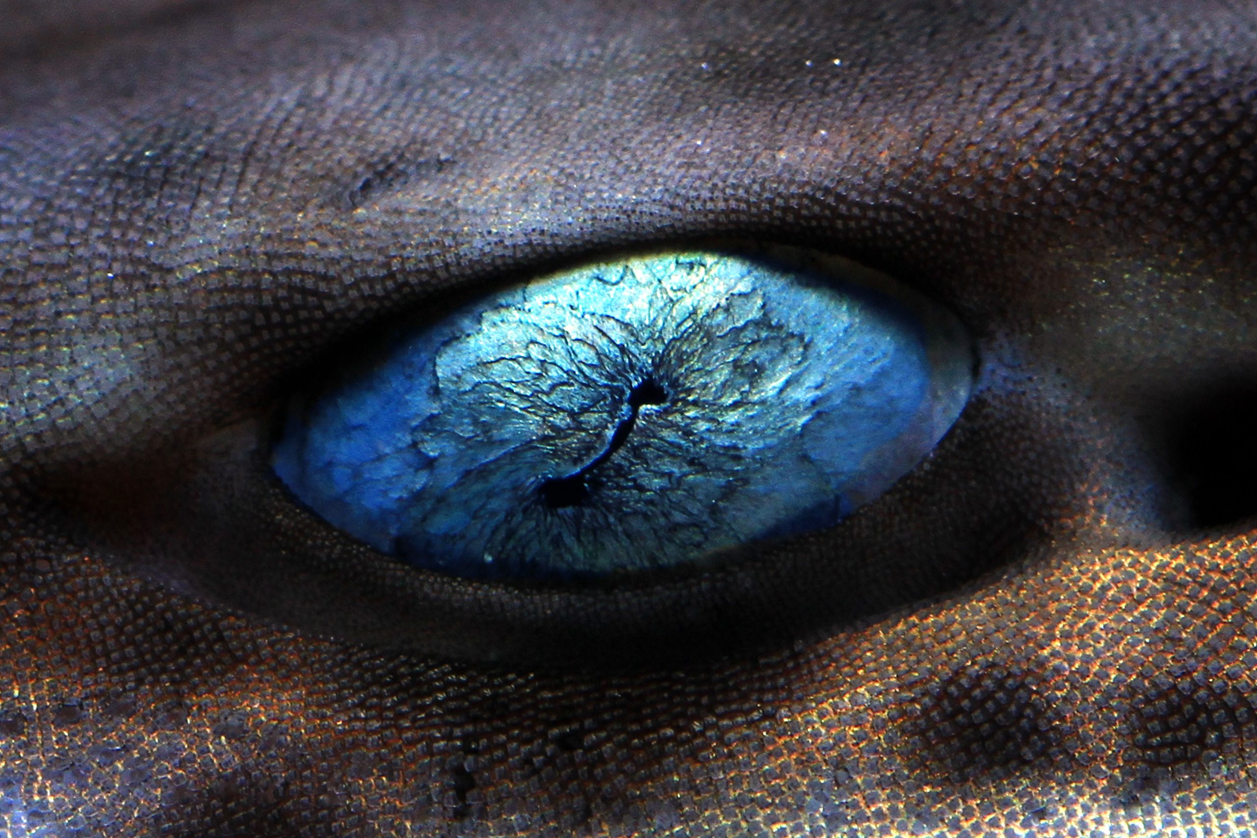 Dieser heute noch lebende Apex 