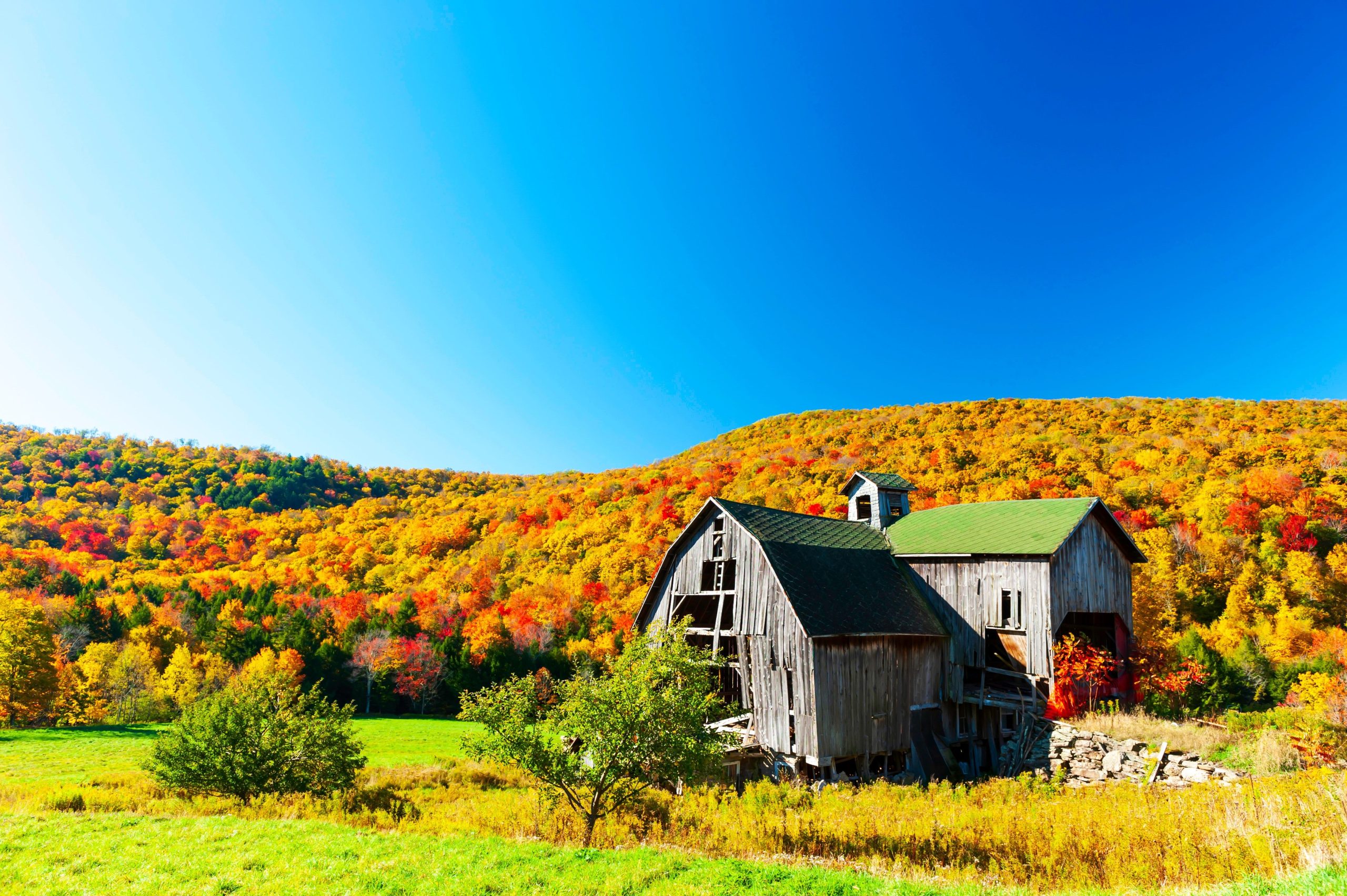 Diese alte New Yorker Catskills Farm verbirgt eine unglaubliche „weltweit größte“
