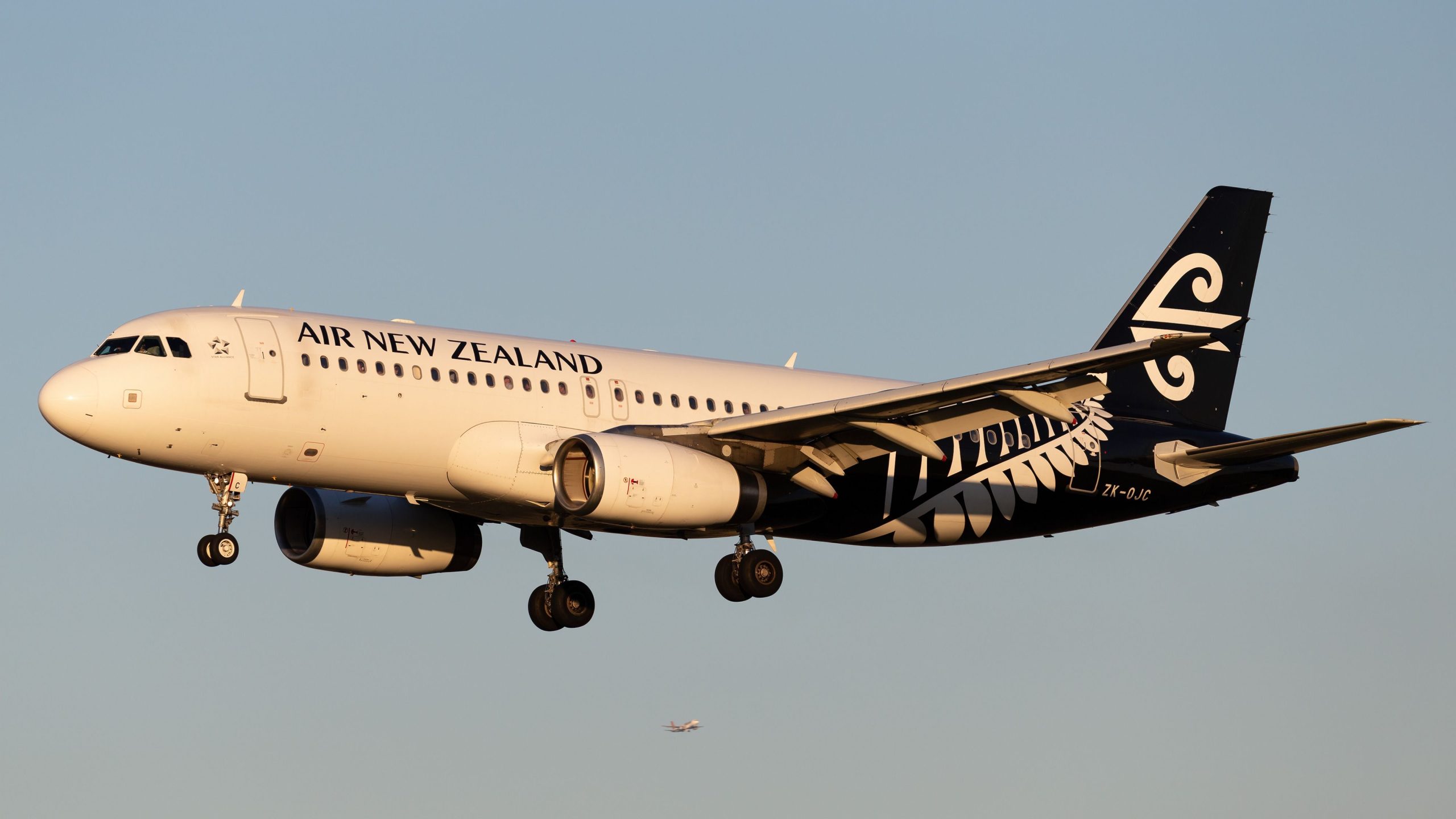 Air New Zealand feuert Angestellte aufgrund mehrerer Sicherheitsverletzungen am Flughafen Auckland aus