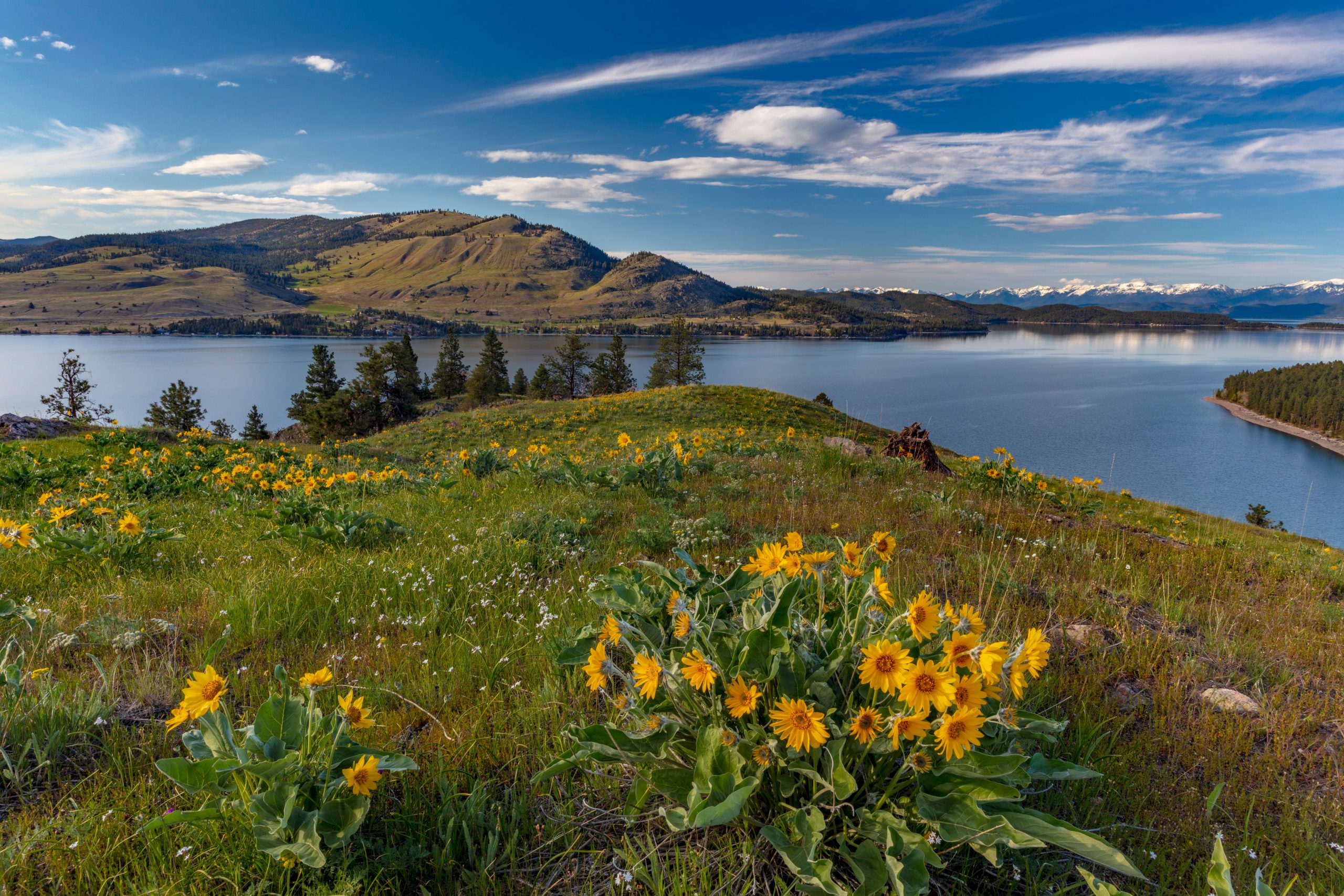 Der am meisten unterschätzte State Park in Montana ist eine Insel (und eine Stunde vom Glacier National Park)