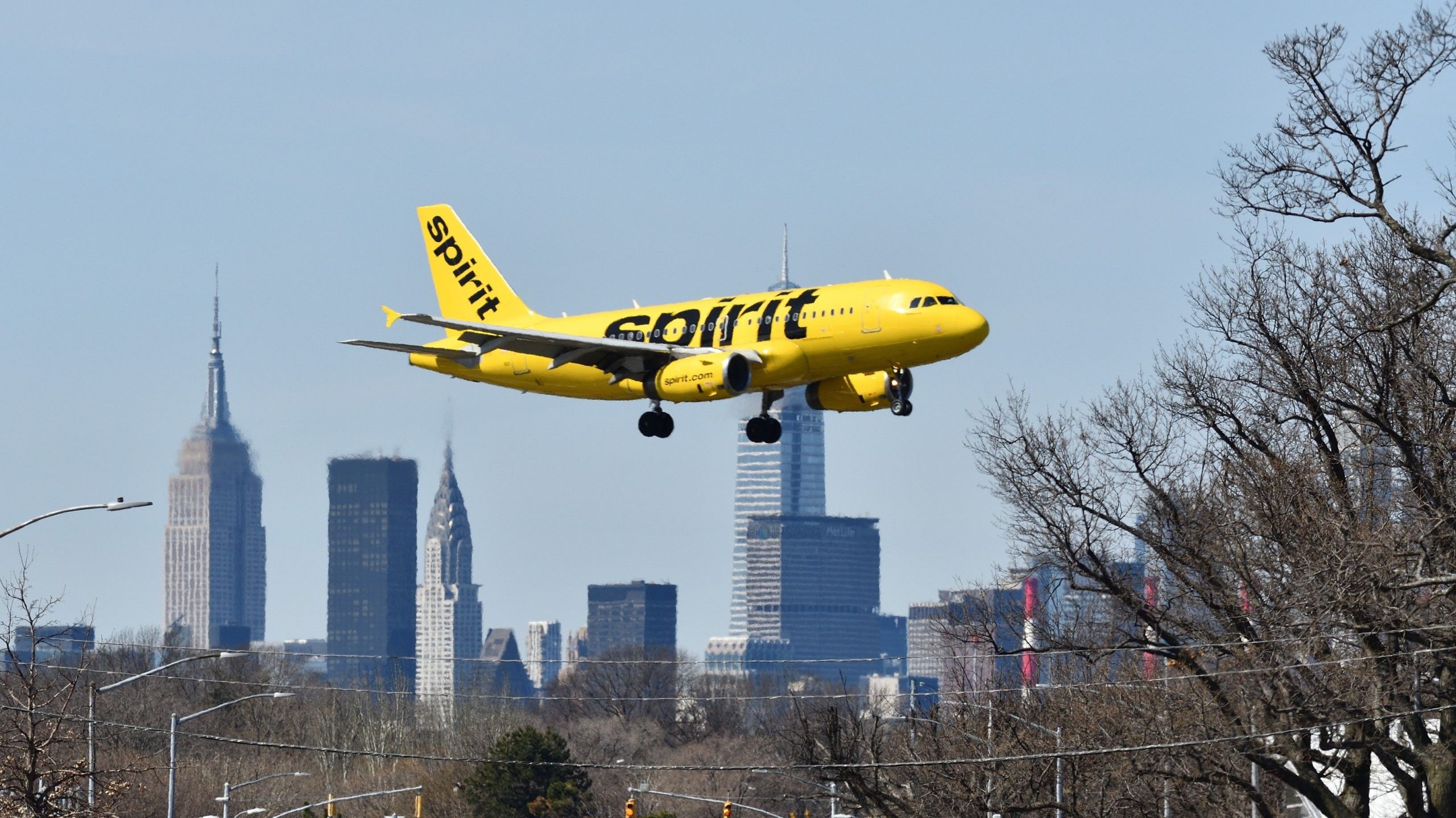 Critter verursacht Chaos bei Spirit Airlines Gate in Laguardia, wenn es von der Decke fällt