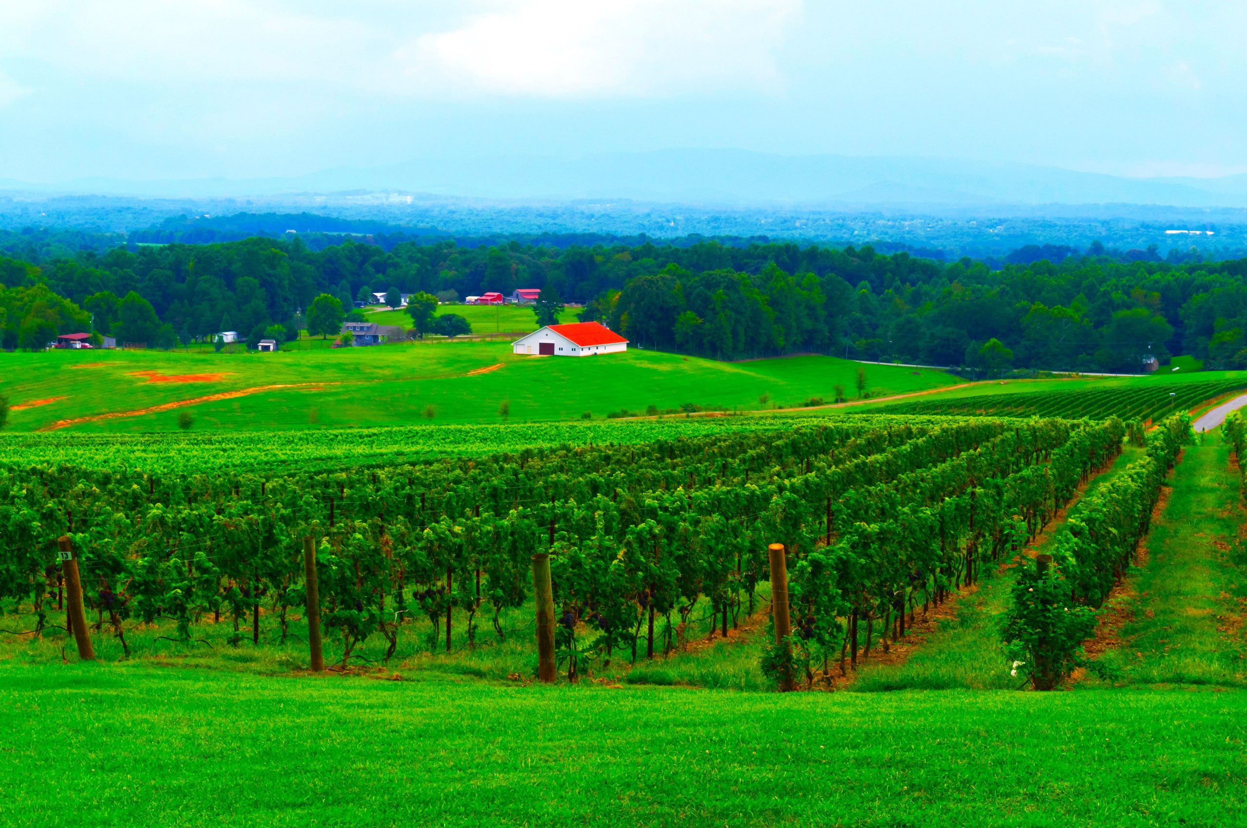 Das „Napa Valley“ von North Carolina ist eine unterschätzte, aber landschaftlich reizvolle Region Blue Ridge Mountains