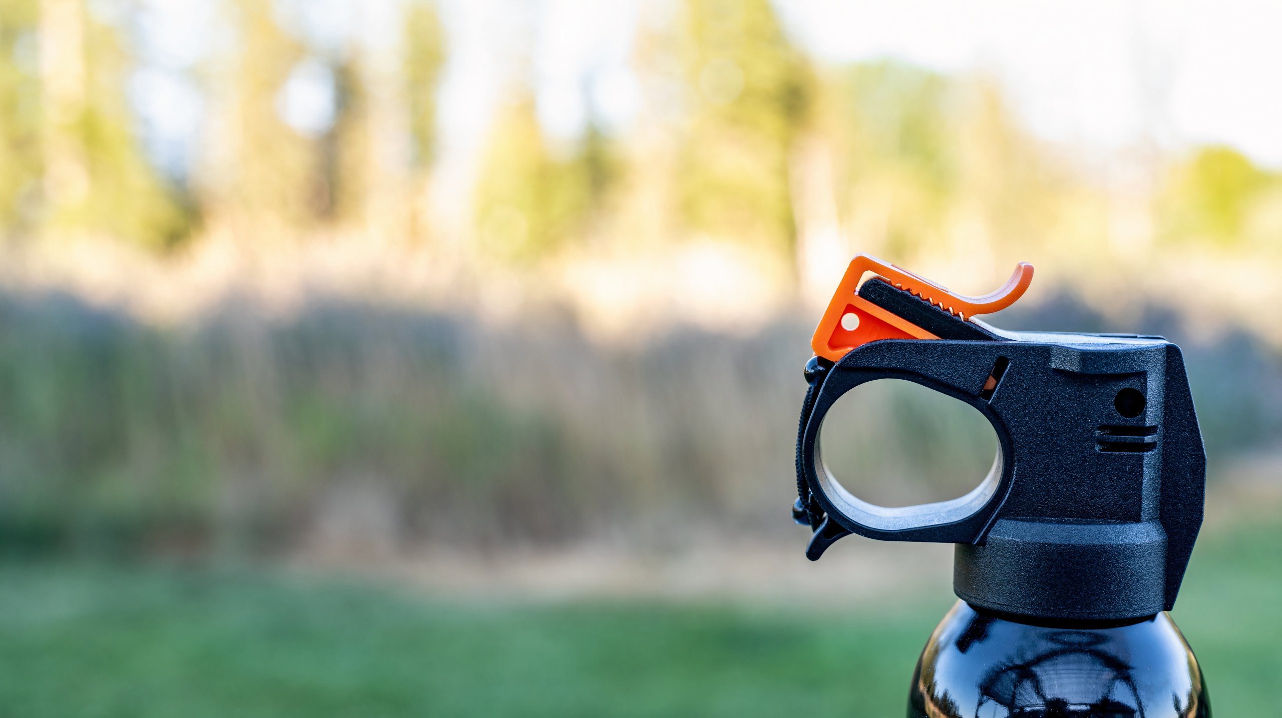 7 Tipps für die Sicherheit von Wildtieren, ohne sich diesen Sommer auf Bärenspray zu verlassen