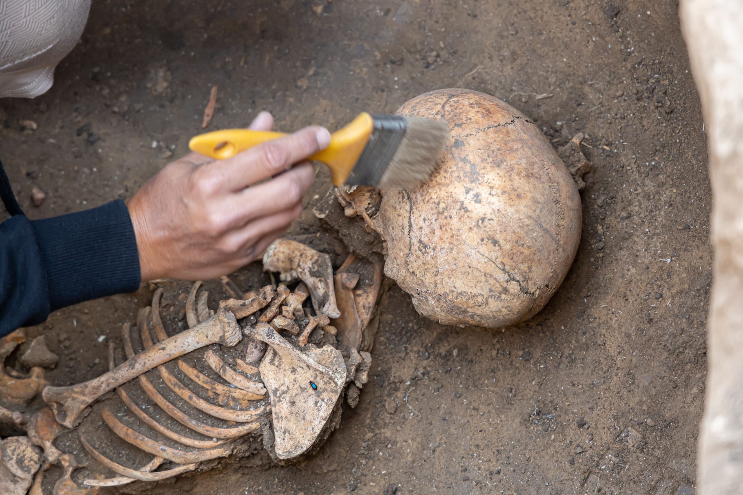29.000 Jahre alte Überreste von kleinem Kind, die in der thailändischen Höhle mit „Symbolen von Blut und Macht“ entdeckt wurden