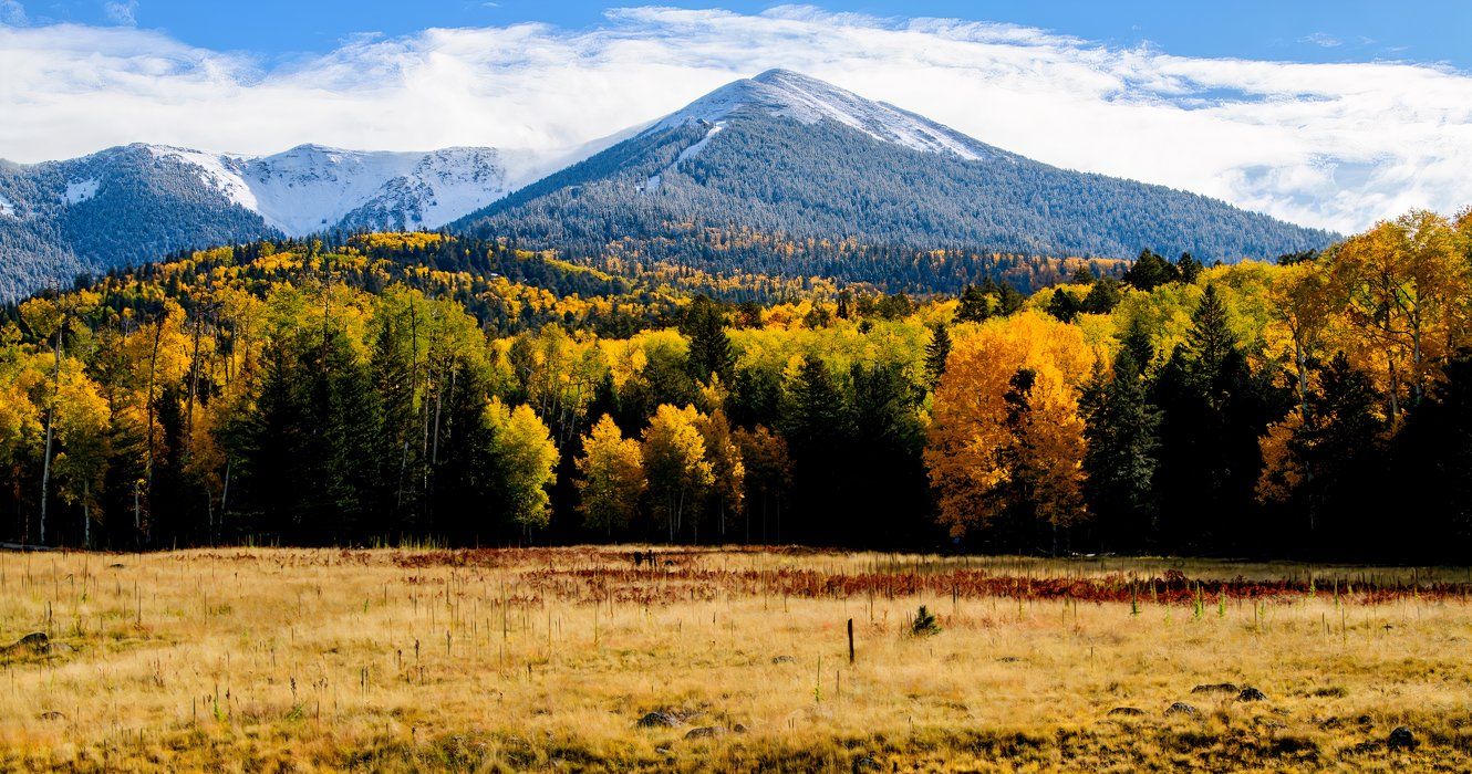 Die überraschende Stadt in Arizona, in der Sie epische Herbstfarben sehen können