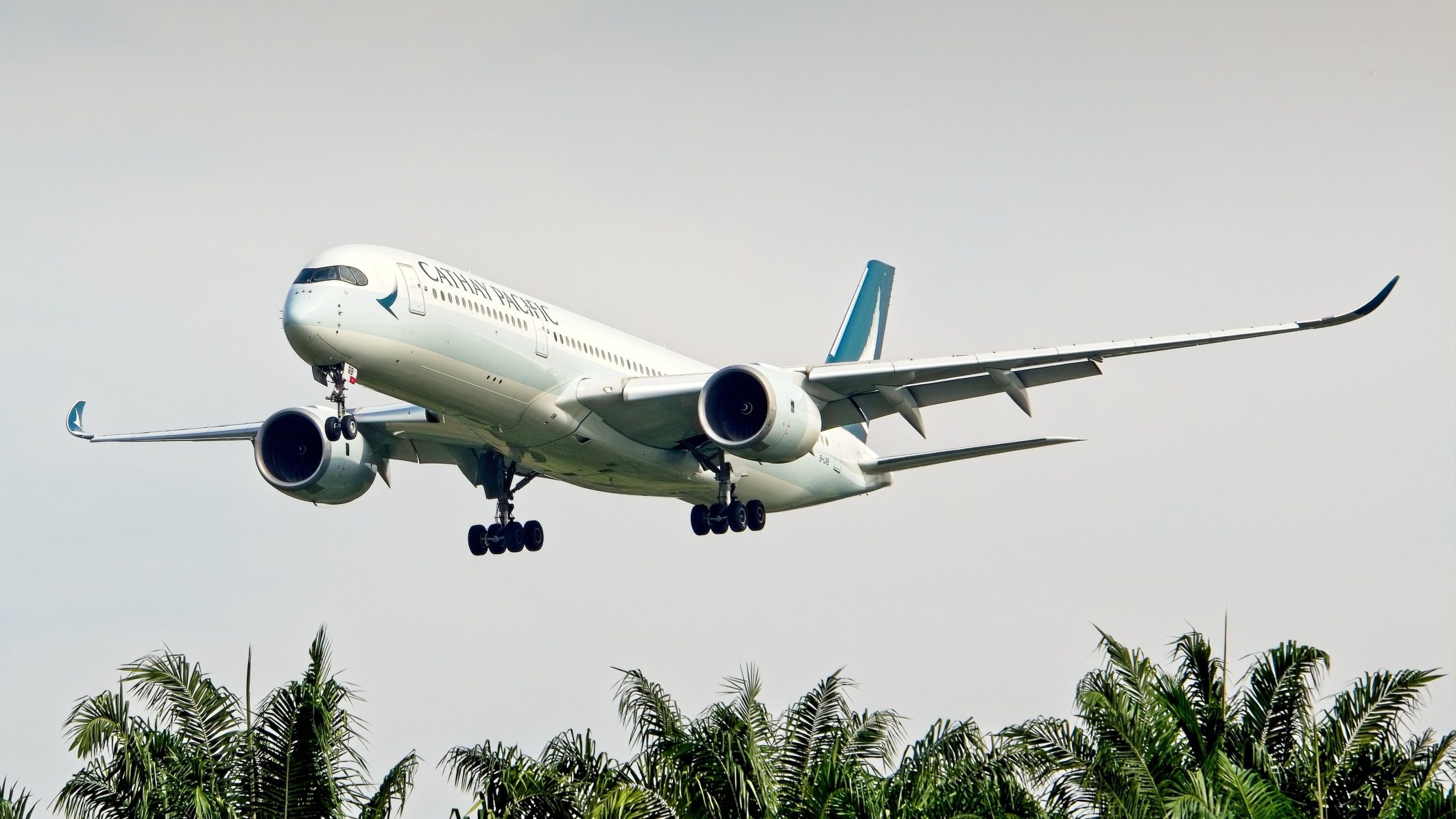 Cathay Pacific kämpft immer noch darum, sich auf vor der Koviden zu erholen