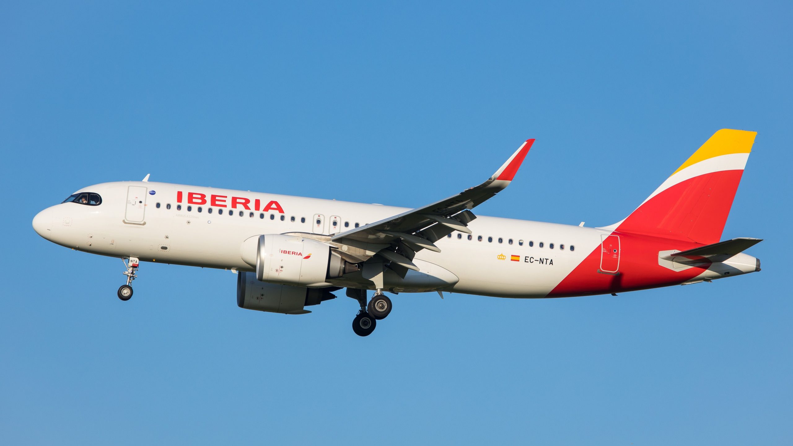 Kein Dummkopf: New Iberia Plus Elite 