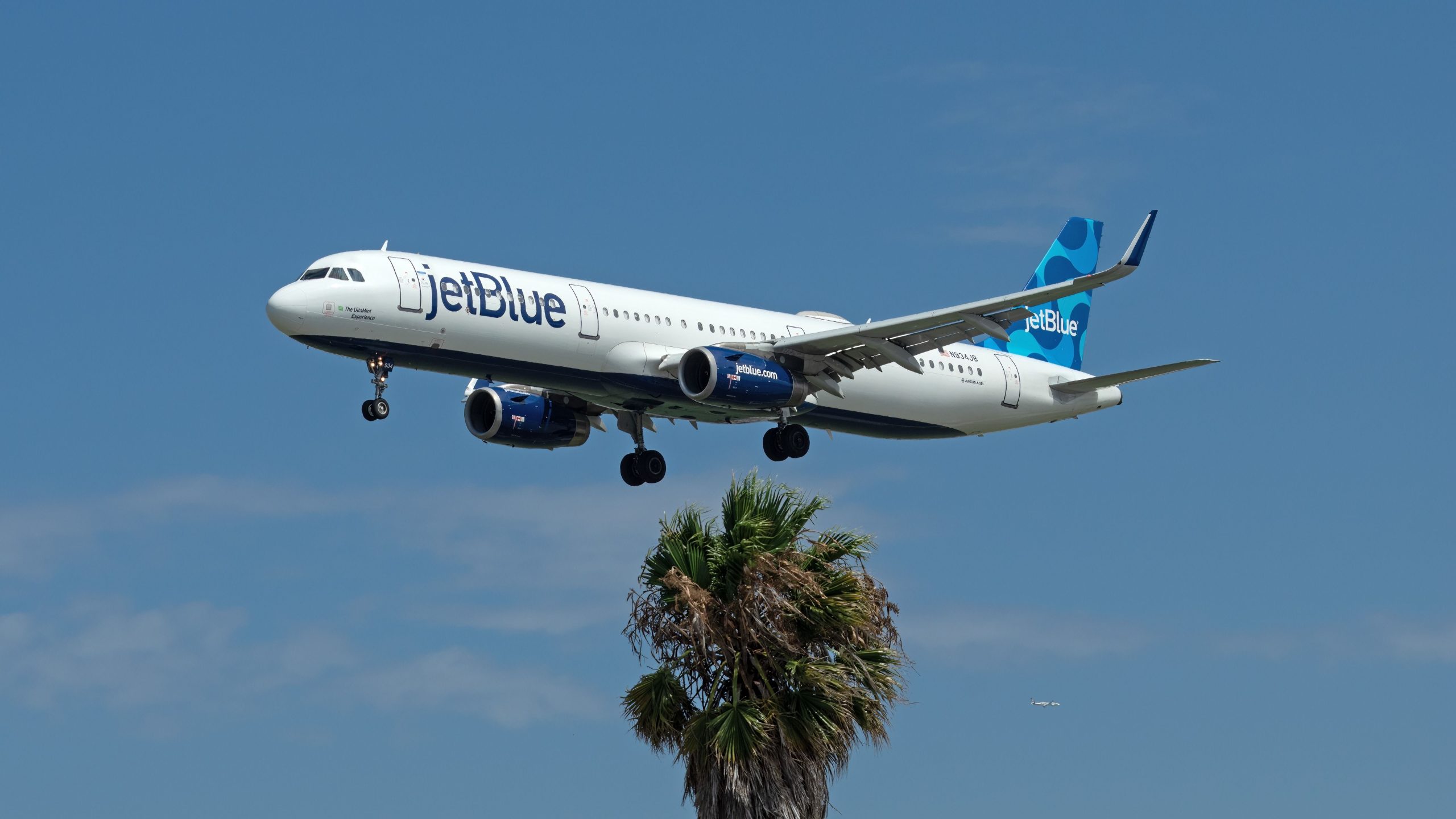 JetBlue und Tradewind kündigen die Interline 