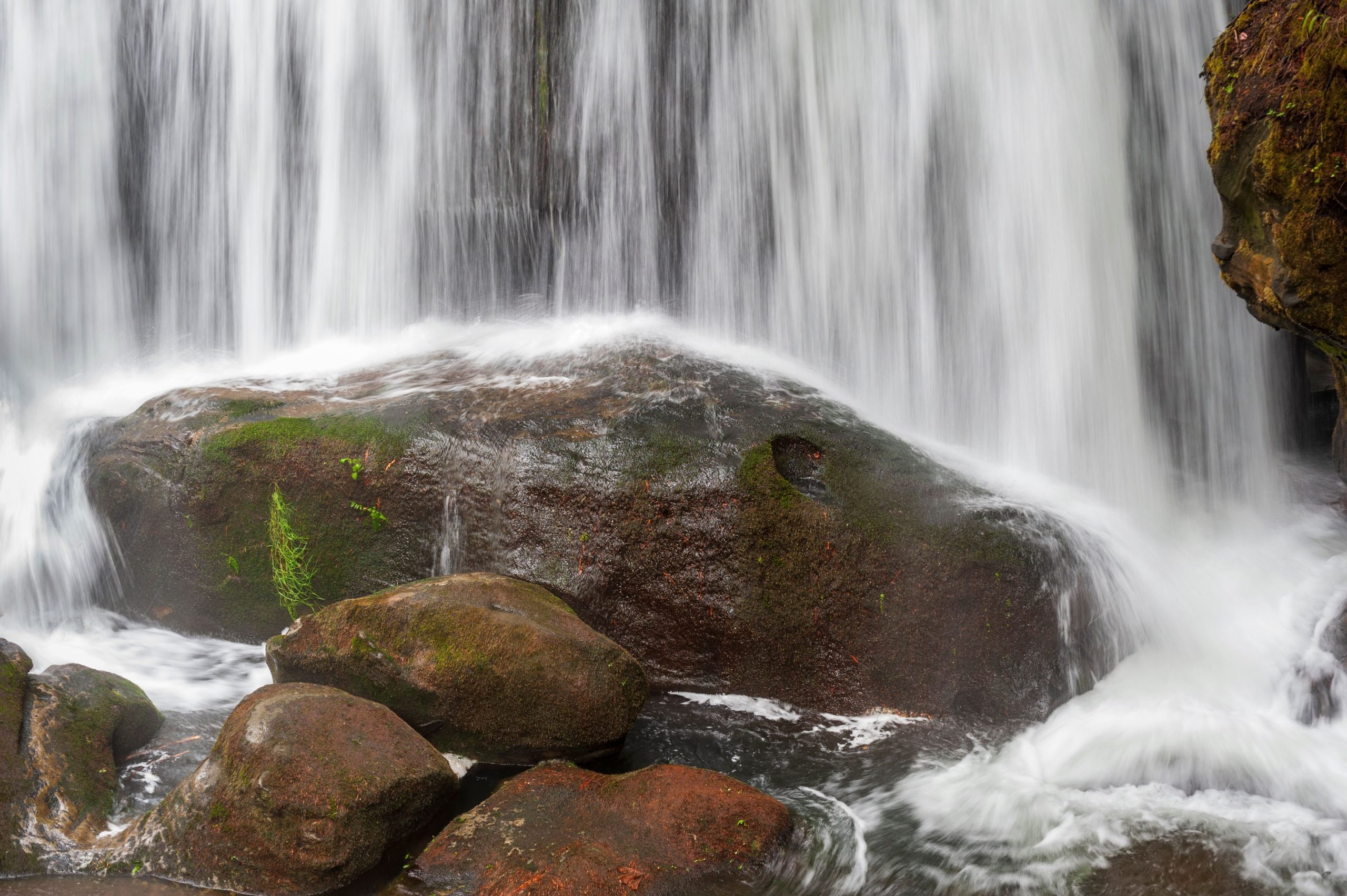 Skip New York: Oregons „Niagara Falls“ ist ein unterschätztes, aber landschaftliches pazifischem Nordwestwunder