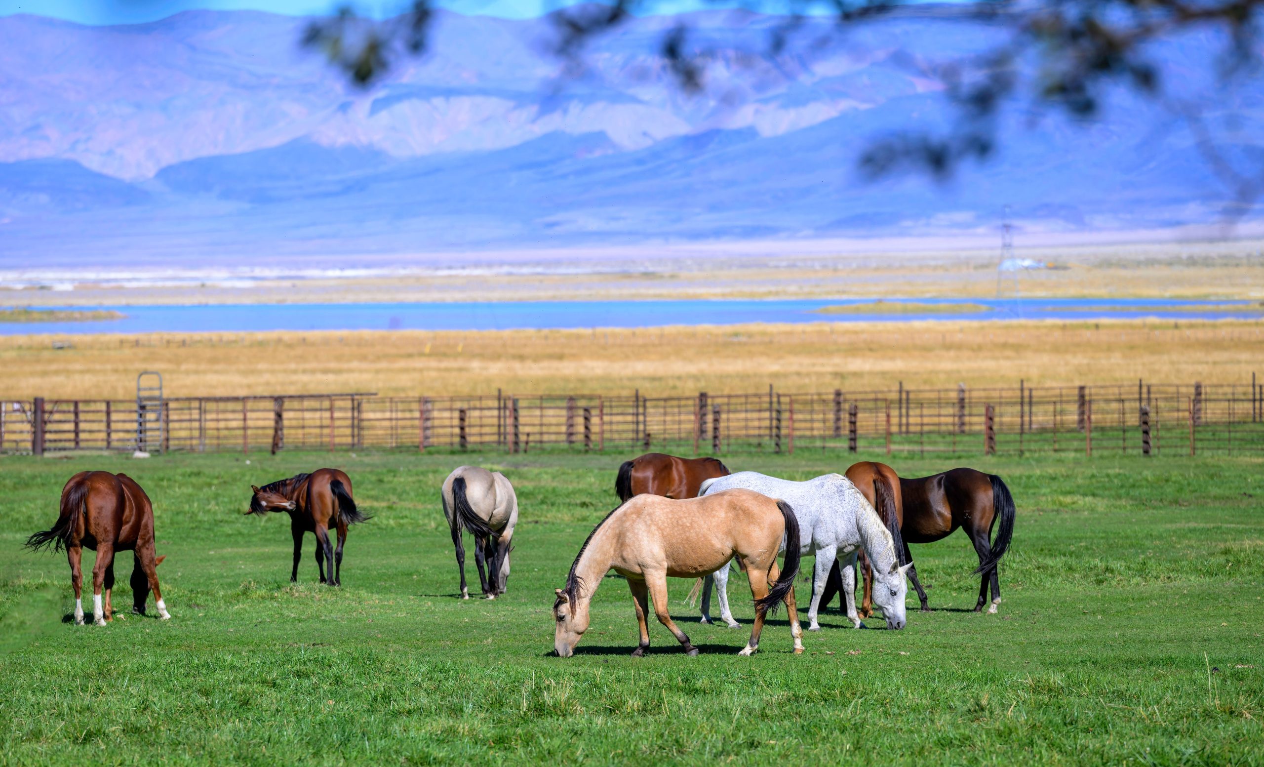 8 zurückhaltende Kleinstädte in Kalifornien für einen Wochenend-Retreat
