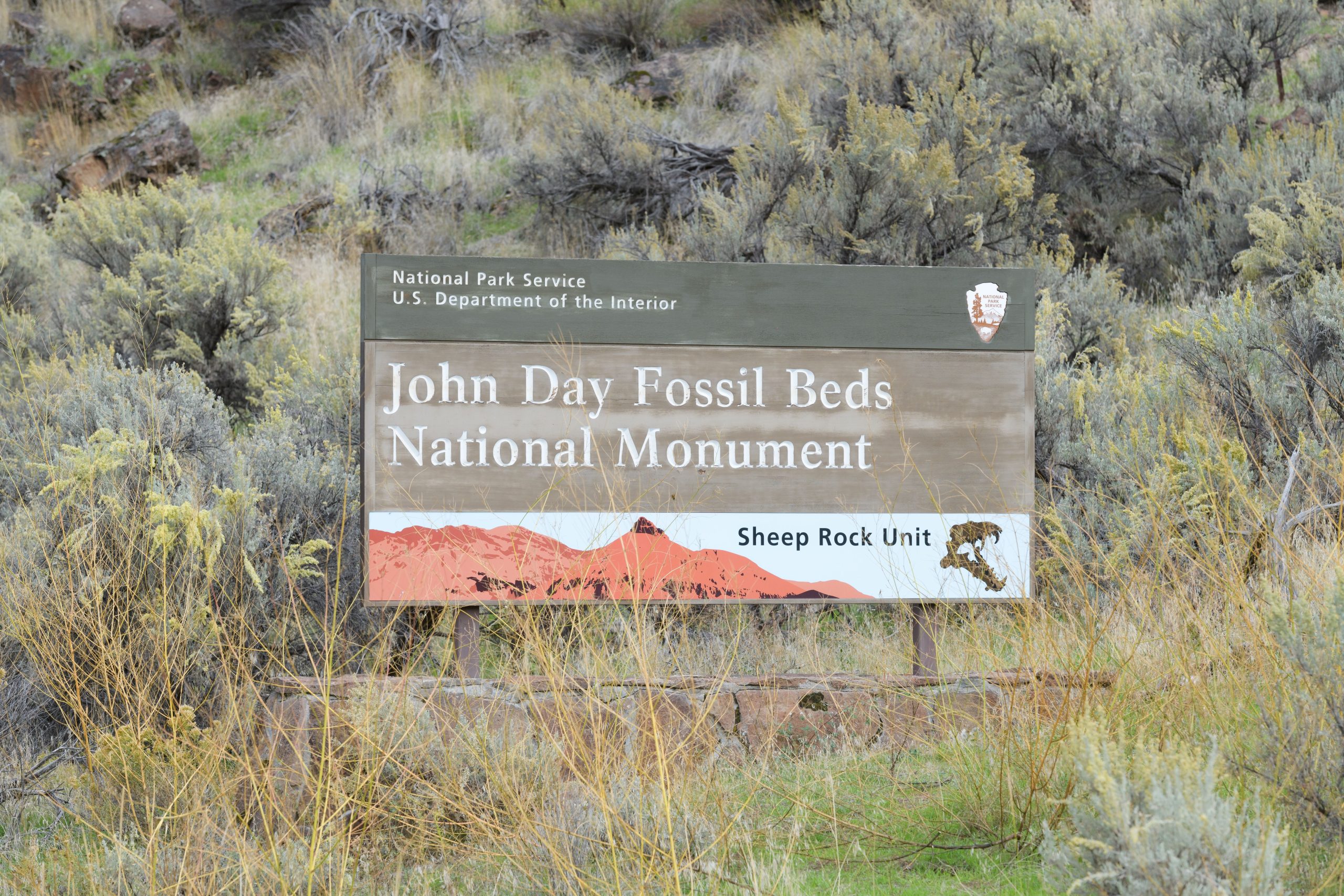 Entdeckung bei John Day Fossil Beds National Monument deckt auf, wie Oregon vor 50 Millionen Jahren war