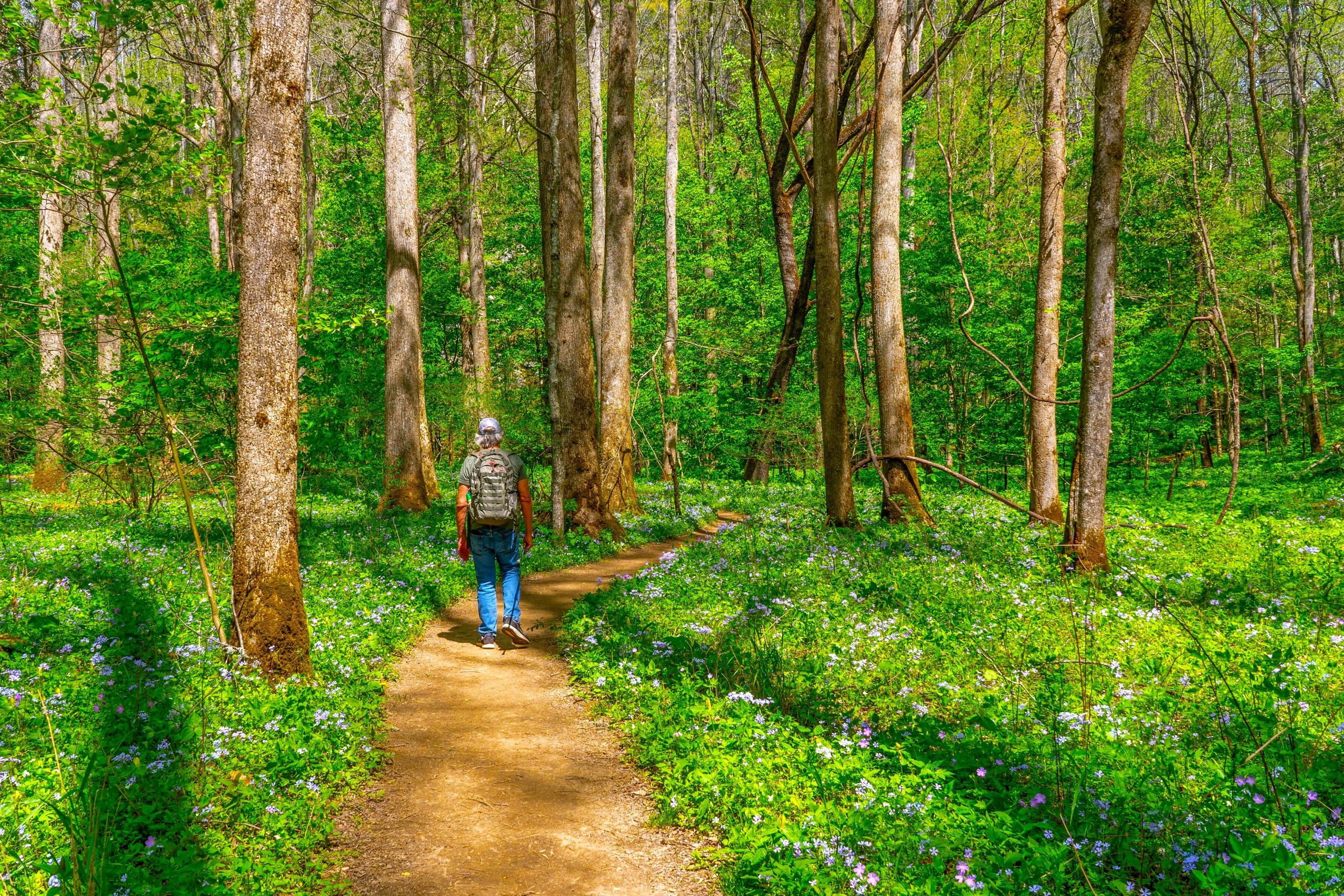 Der Spitznamen „Wildflower National Park“, dieser Southern Spot schlägt die berühmten Frühlingsblüten in Kalifornien.