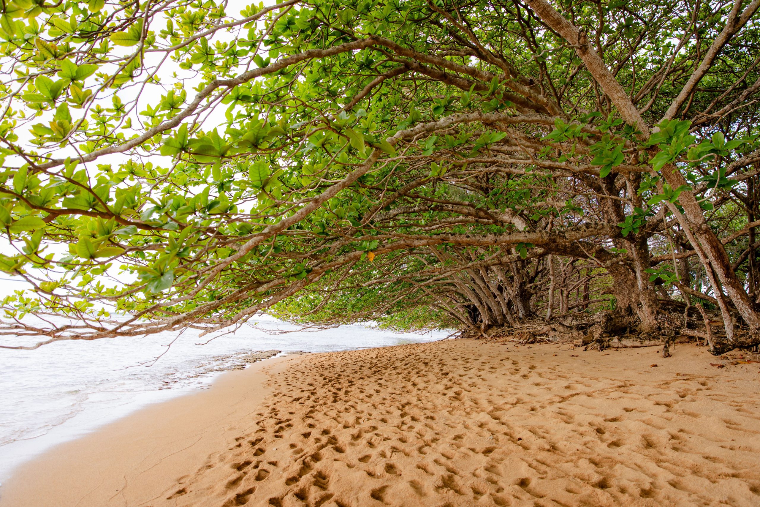 7 Beste Wanderungen in Kauai für 2025