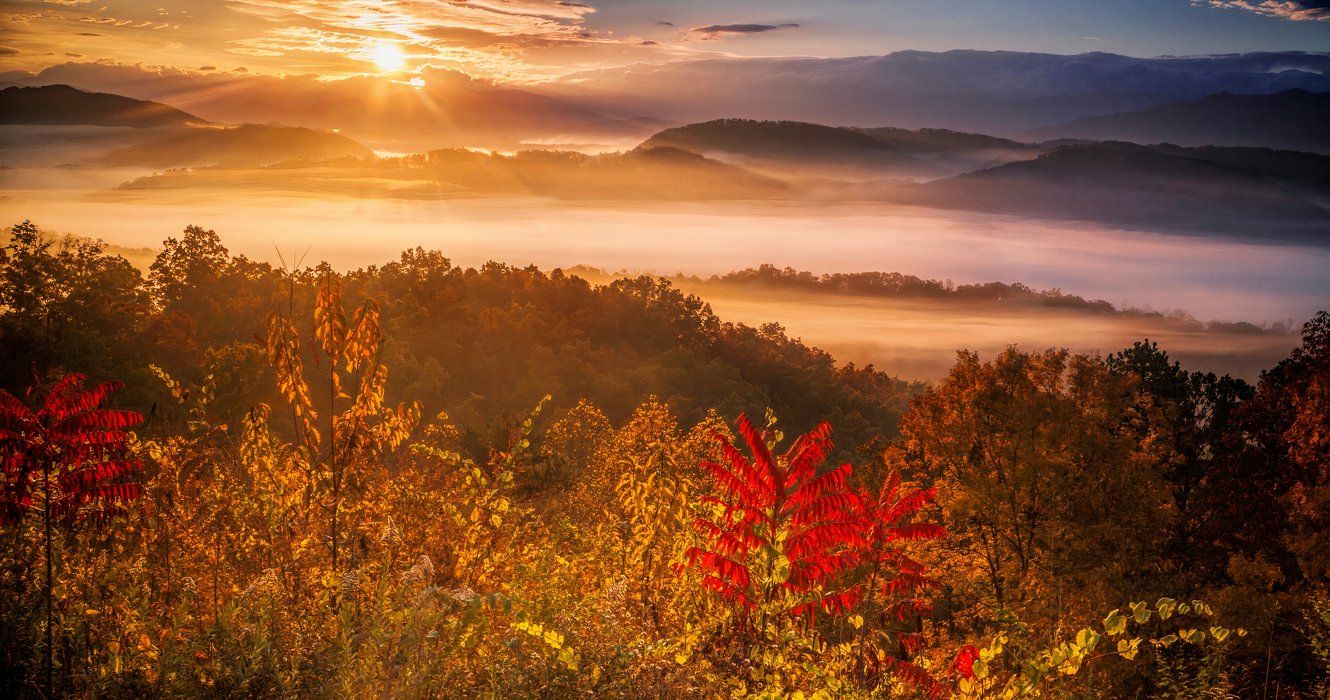 Der Nationalpark, bekannt für Herbstlaub, aber auch ungelöste Fälle von vermissten Personen