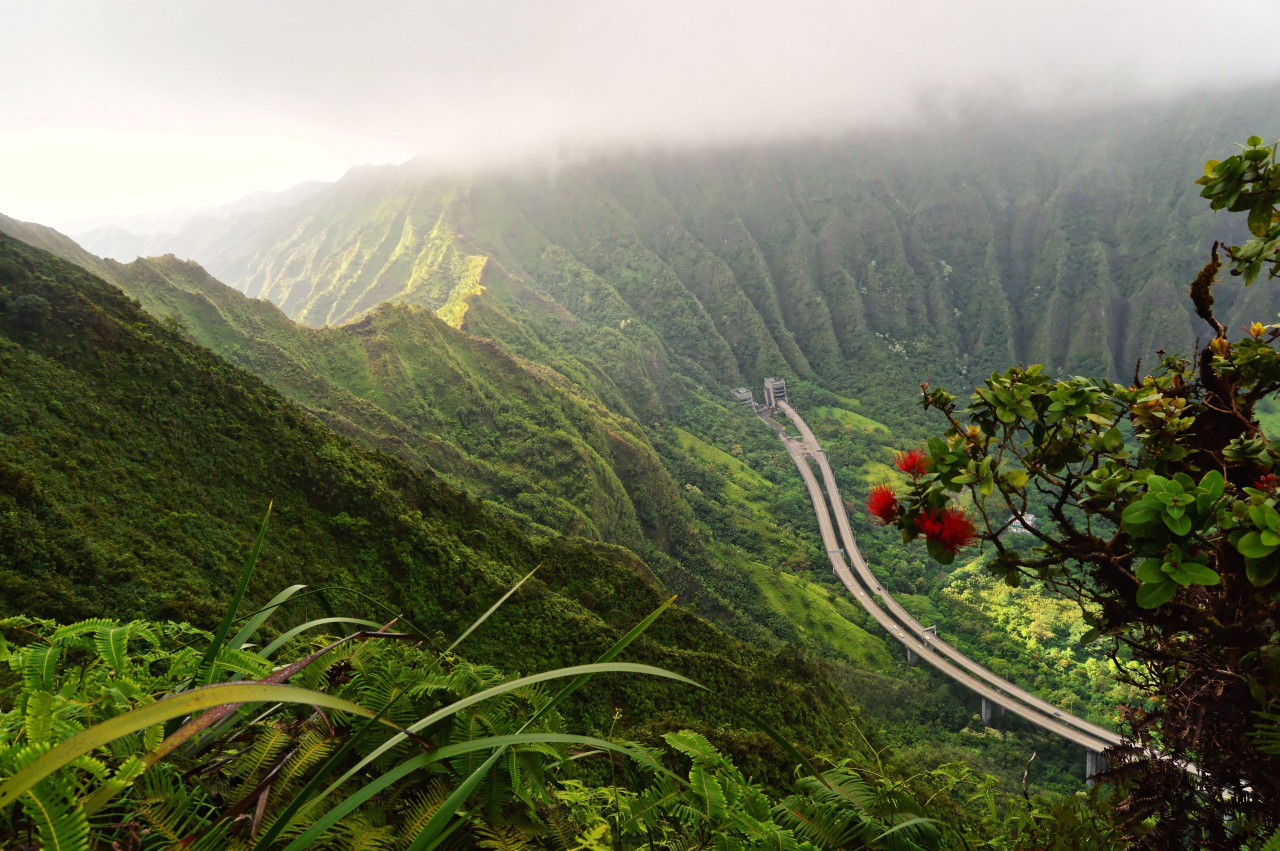 Sie werden auf dieser Hawaii 