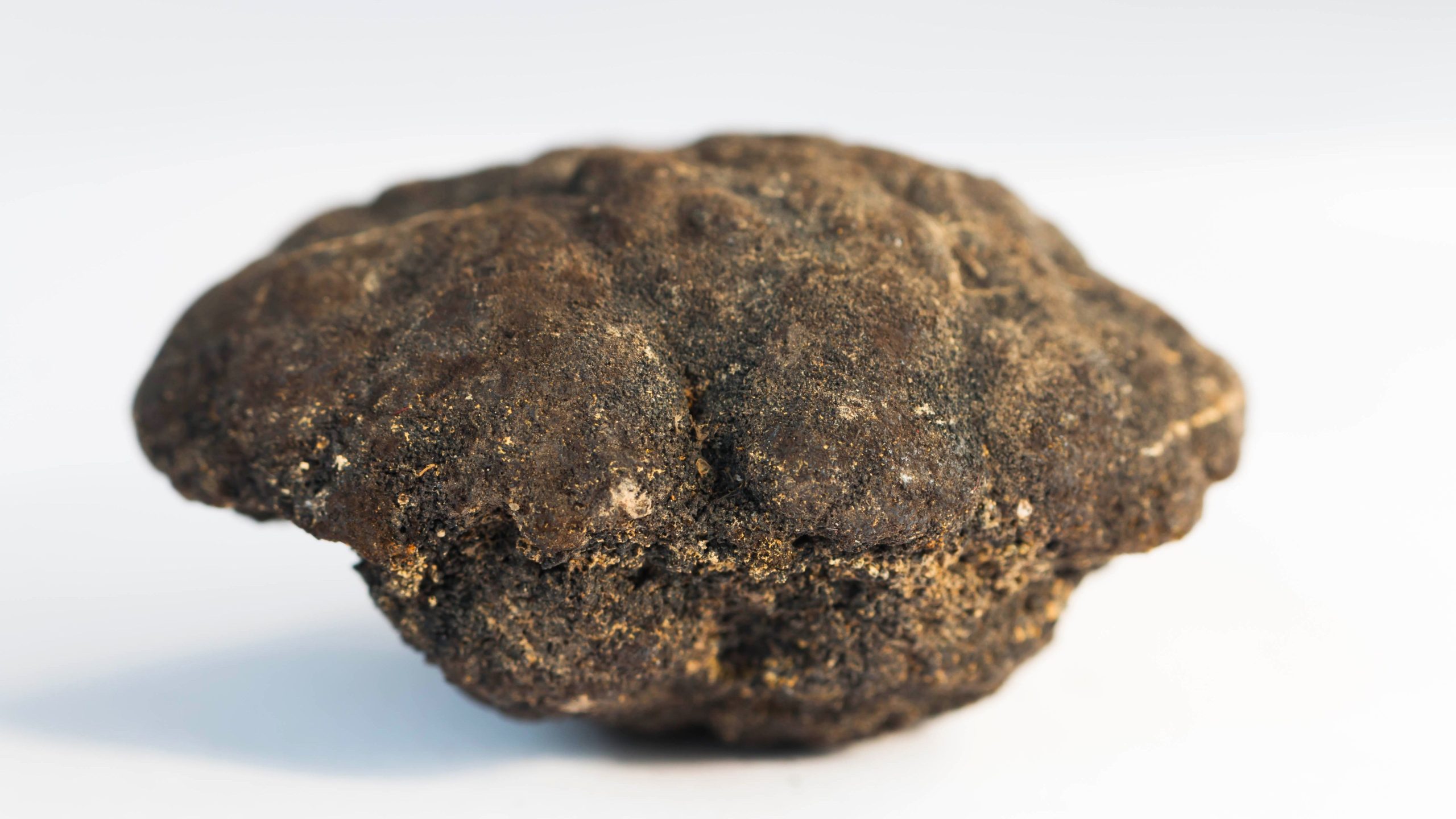 "Dunkler Sauerstoff" zwischen den USA und Mexiko entdeckt (und es ist nicht gut)