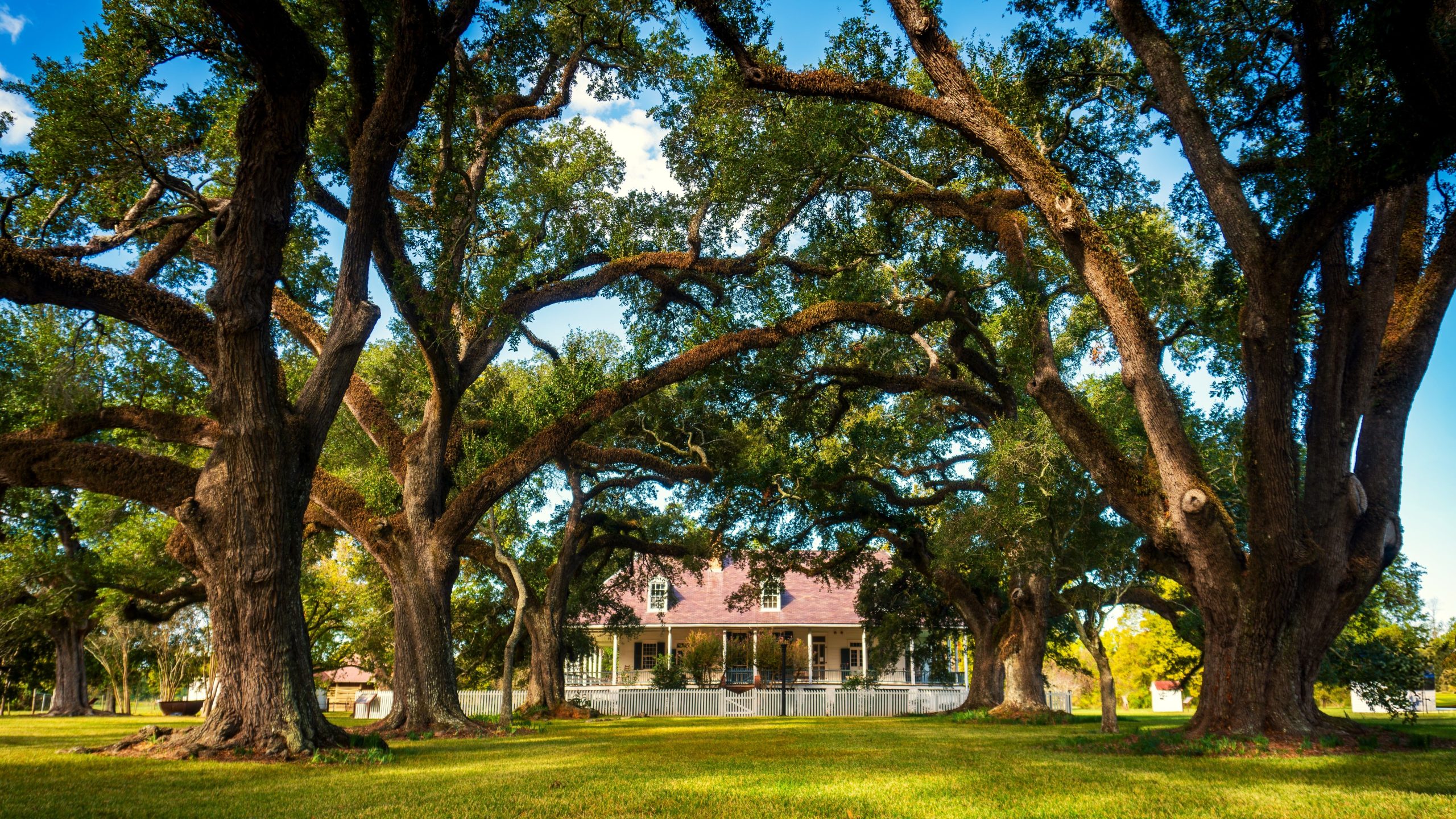 Überspringen Sie Florida: 6 unterschätzte Nationalparks in Louisiana, um stattdessen zu besuchen