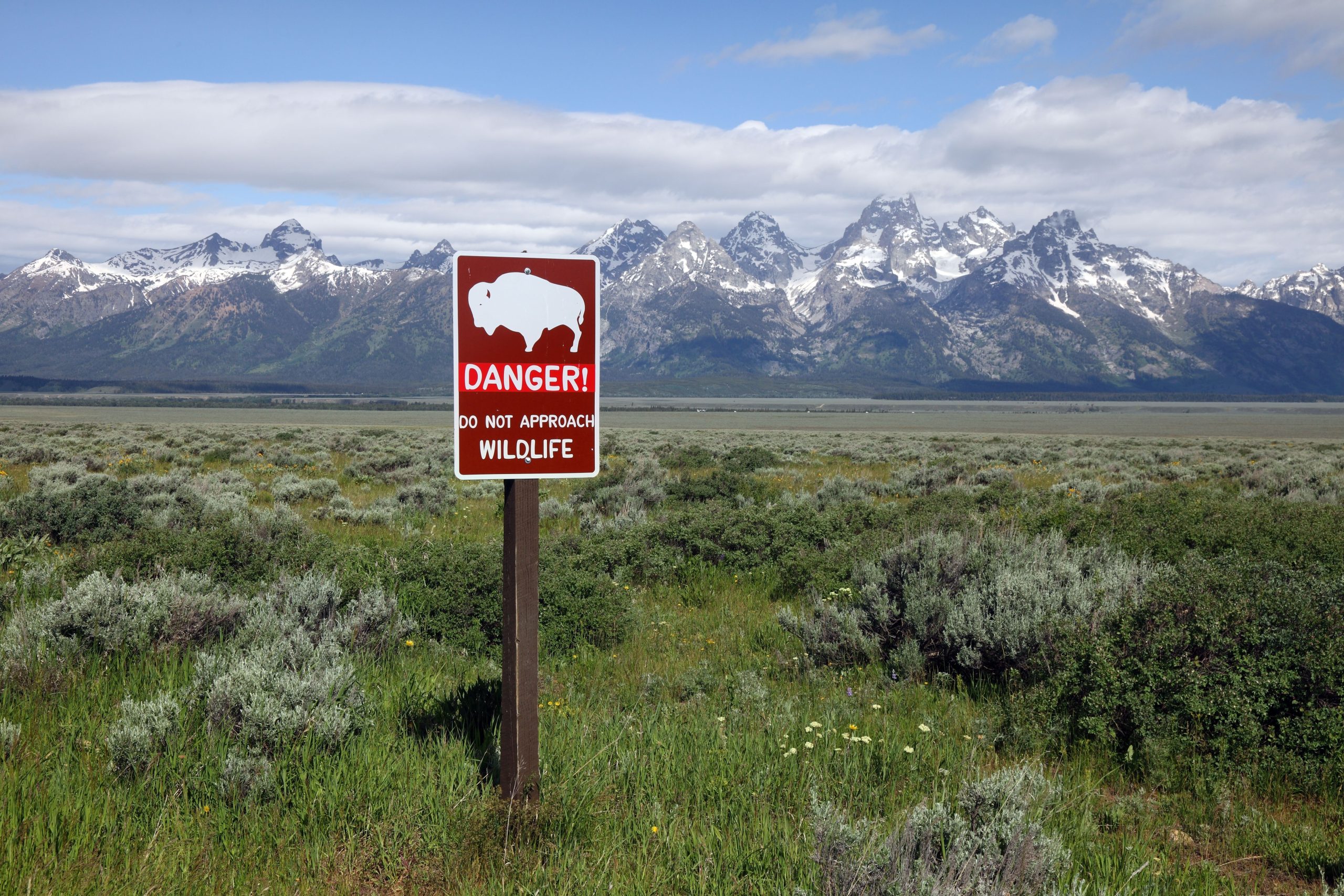 Grand Teton National Park warnte die Besucher, dass es illegal ist, dieses „Sammlerstück“ aus dem Park zu nehmen